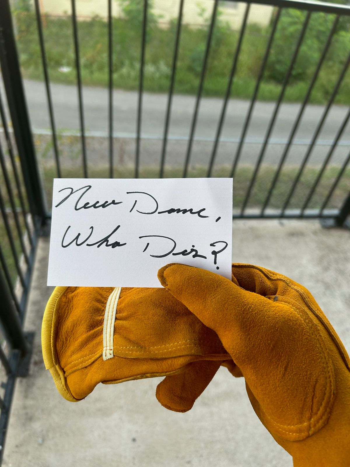 Photo by billyburl on October 1, 2025 of the Firm GRIP Deer Skin Work Gloves in Yellow Deer Skin.