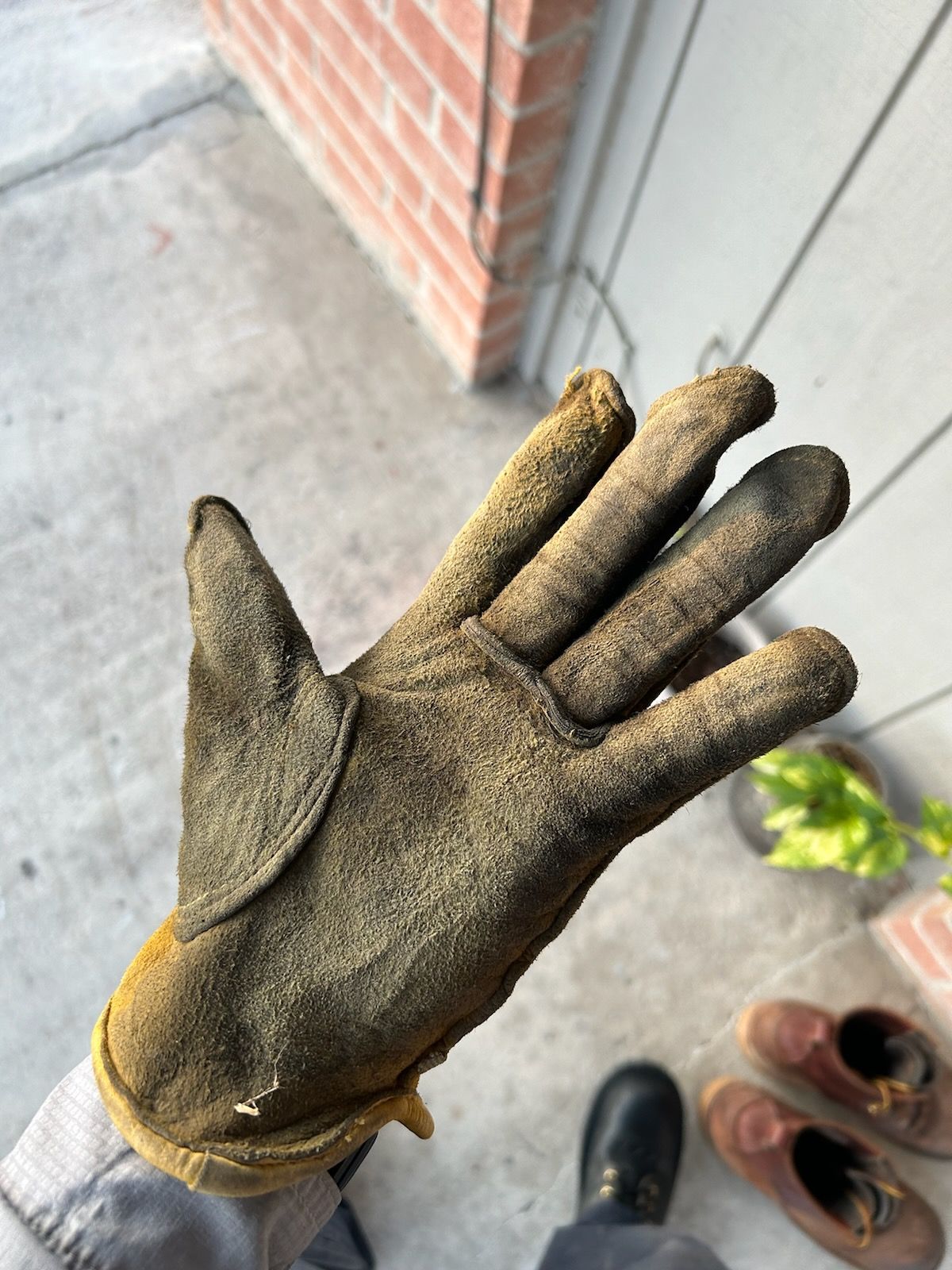 Photo by billyburl on November 5, 2025 of the Firm GRIP Deer Skin Work Gloves in Yellow Deer Skin.