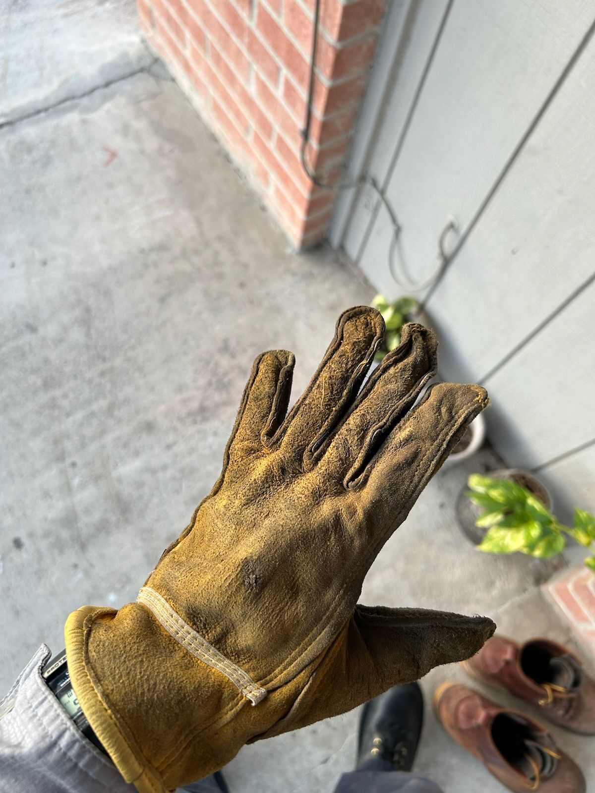 Photo by billyburl on November 5, 2025 of the Firm GRIP Deer Skin Work Gloves in Yellow Deer Skin.