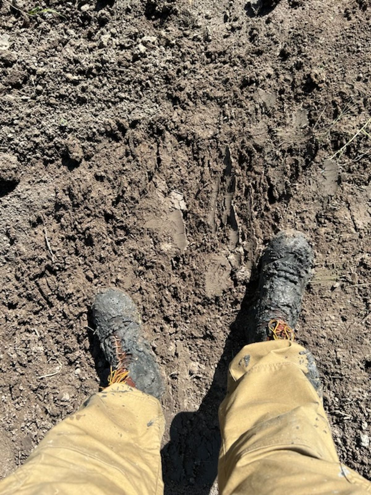 Photo by billyburl on September 30, 2025 of the JK Boots O.T. in Seidel Redwood Oil Tan.