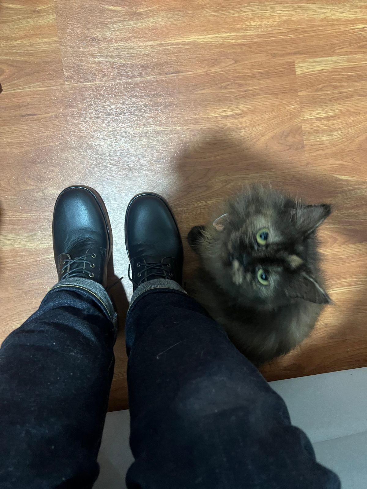 Photo by tudubz on October 1, 2025 of the Briselblack The Hawk in Teacore Horsehide shinki.
