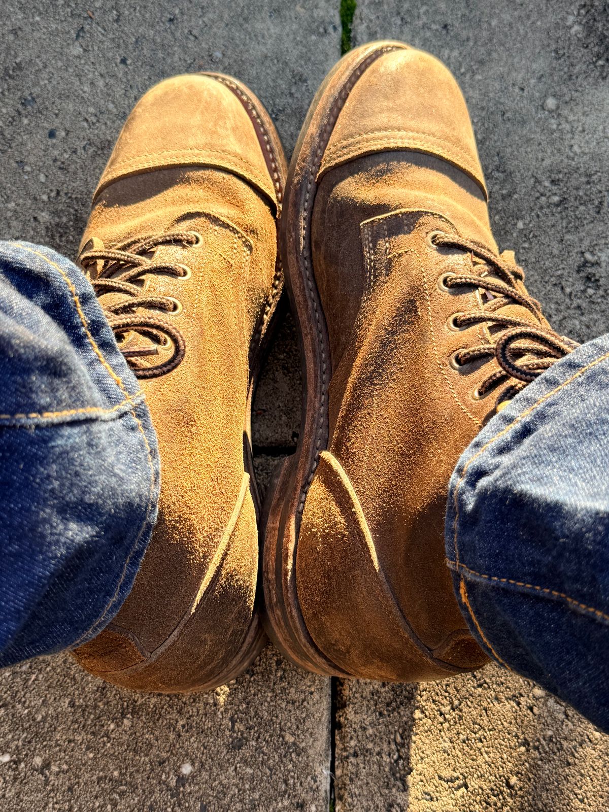 Photo by robrules on June 7, 2026 of the Truman Cap Toe Boot in Horween Dark Olive Waxed Flesh.