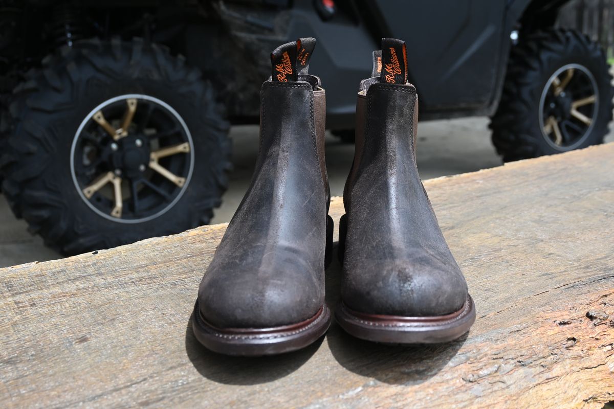 Photo by robrules on February 15, 2026 of the R.M. Williams Gardener Commando in C.f. Stead Brown Waxy Commander.