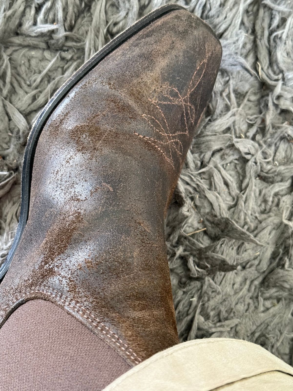 Photo by robrules on October 29, 2025 of the R.M. Williams Sante Fe in C.F. Stead Waxy Commander Stone.