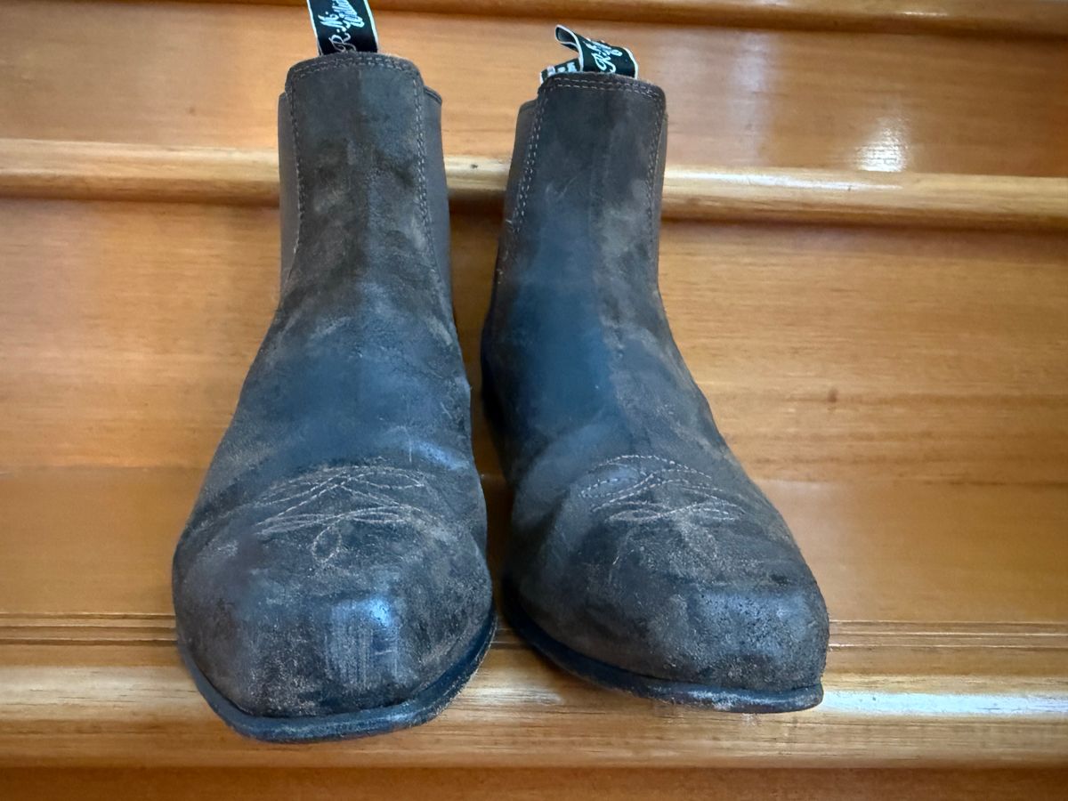 Photo by robrules on November 3, 2025 of the R.M. Williams Sante Fe in C.F. Stead Waxy Commander Stone.