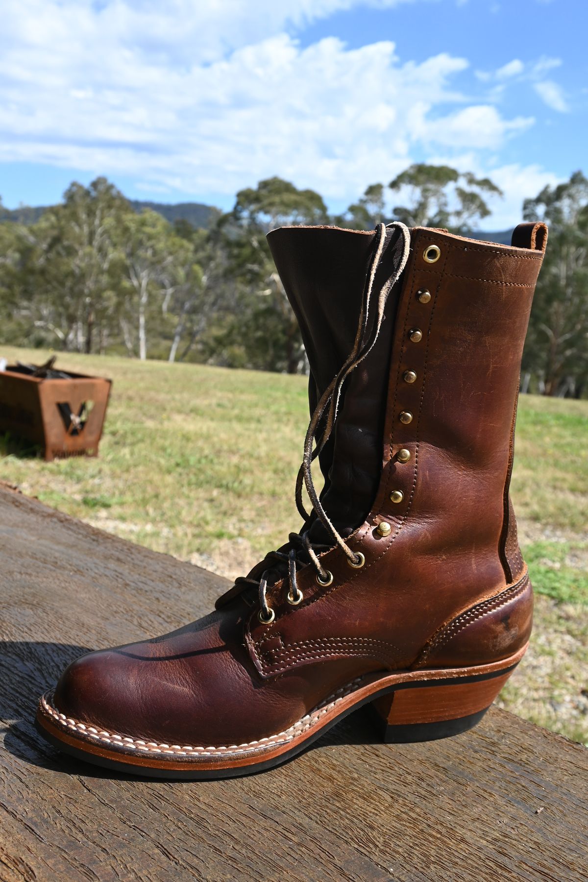 Photo by robrules on January 2, 2026 of the Nicks Packer in 1964 Monarch.