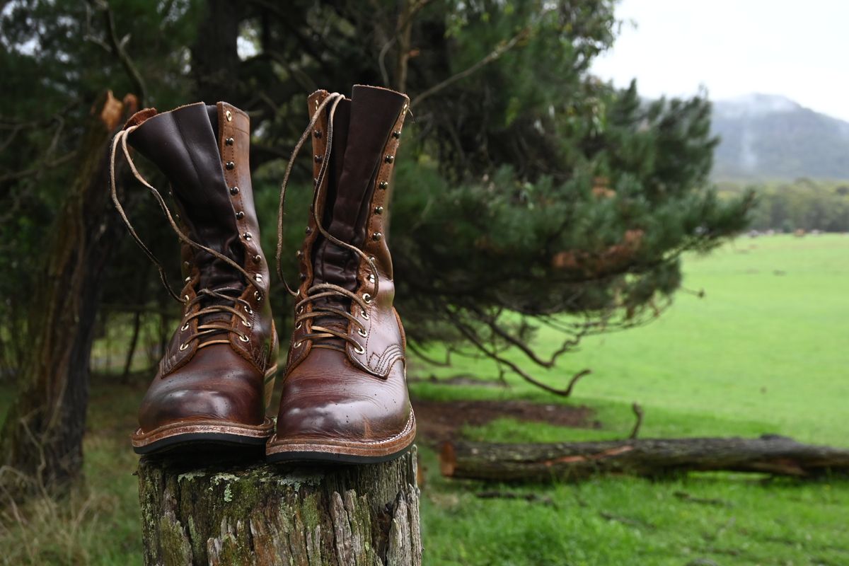 Photo by robrules on March 1, 2026 of the Nicks Packer in 1964 Monarch.