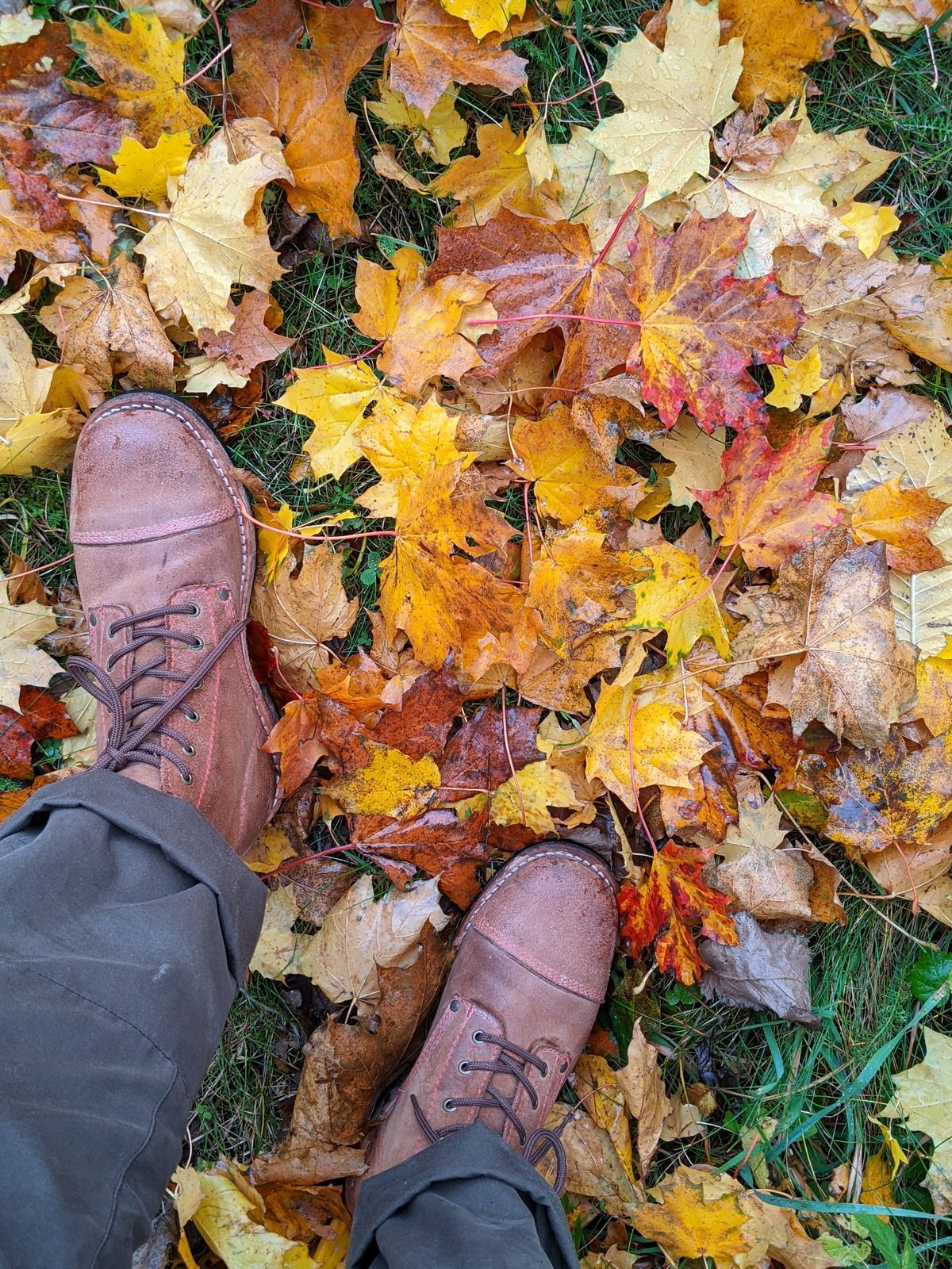 Photo by Rt on October 16, 2025 of the Urban Shepherd Country in Hand-buffed Portuguese top-grain Cowhide Leather, 2,2mm thick.