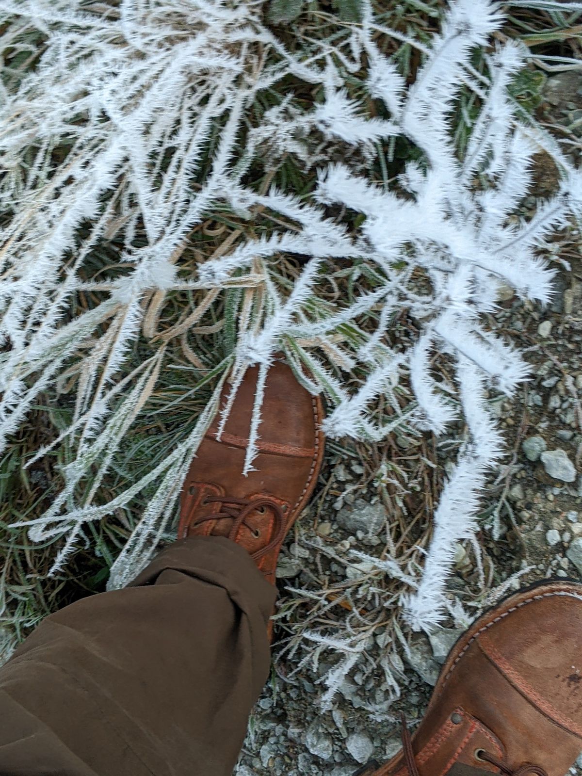 Photo by Rt on November 19, 2025 of the Urban Shepherd Country in Hand-buffed Portuguese top-grain Cowhide Leather, 2,2mm thick.