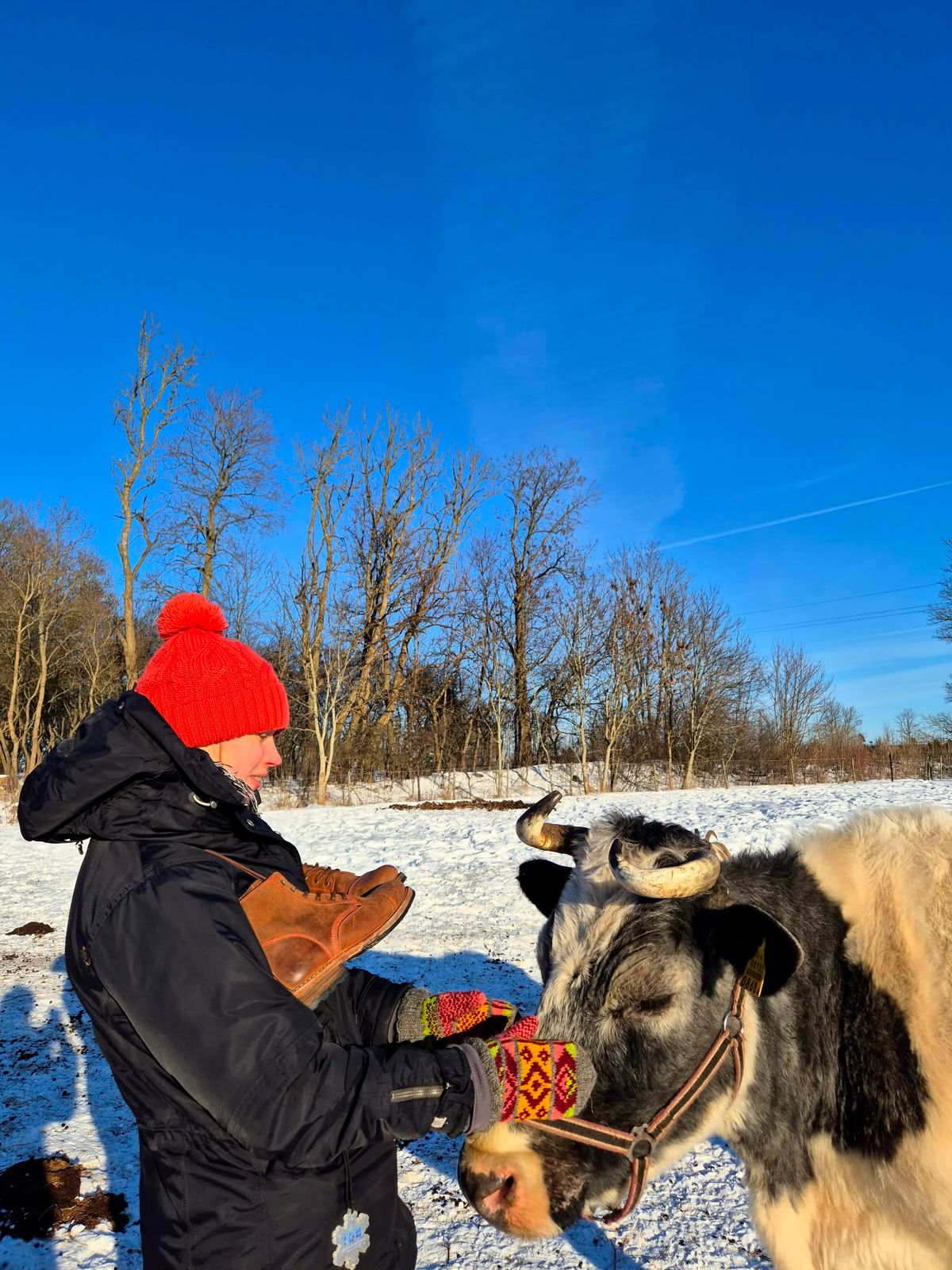 Photo by Rt on February 15, 2026 of the Urban Shepherd Country in Hand-buffed Portuguese top-grain Cowhide Leather, 2,2mm thick.