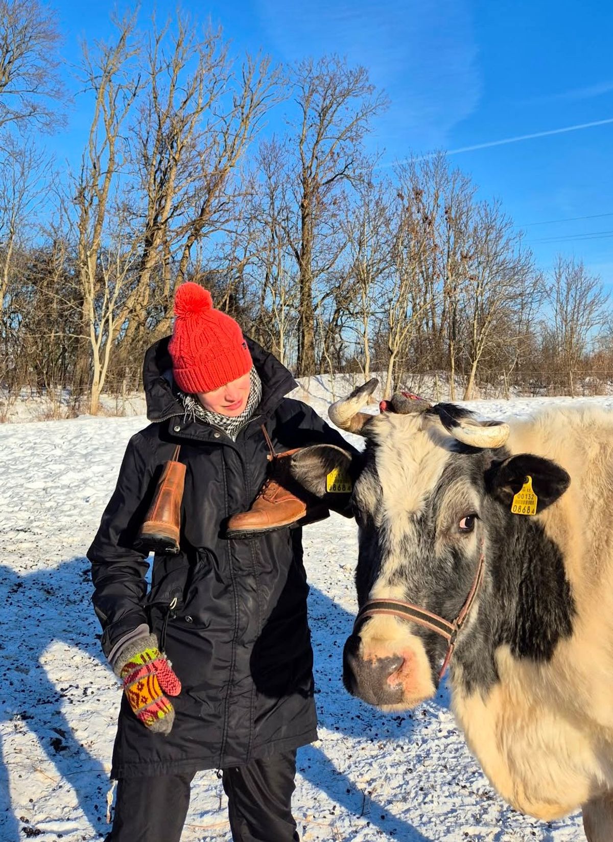 Photo by Rt on February 15, 2026 of the Urban Shepherd Country in Hand-buffed Portuguese top-grain Cowhide Leather, 2,2mm thick.