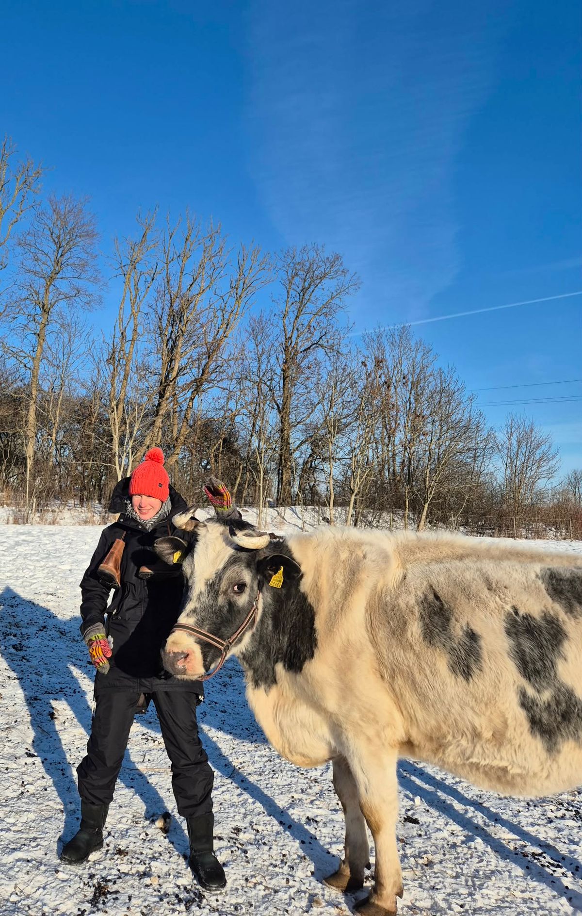Photo by Rt on February 15, 2026 of the Urban Shepherd Country in Hand-buffed Portuguese top-grain Cowhide Leather, 2,2mm thick.