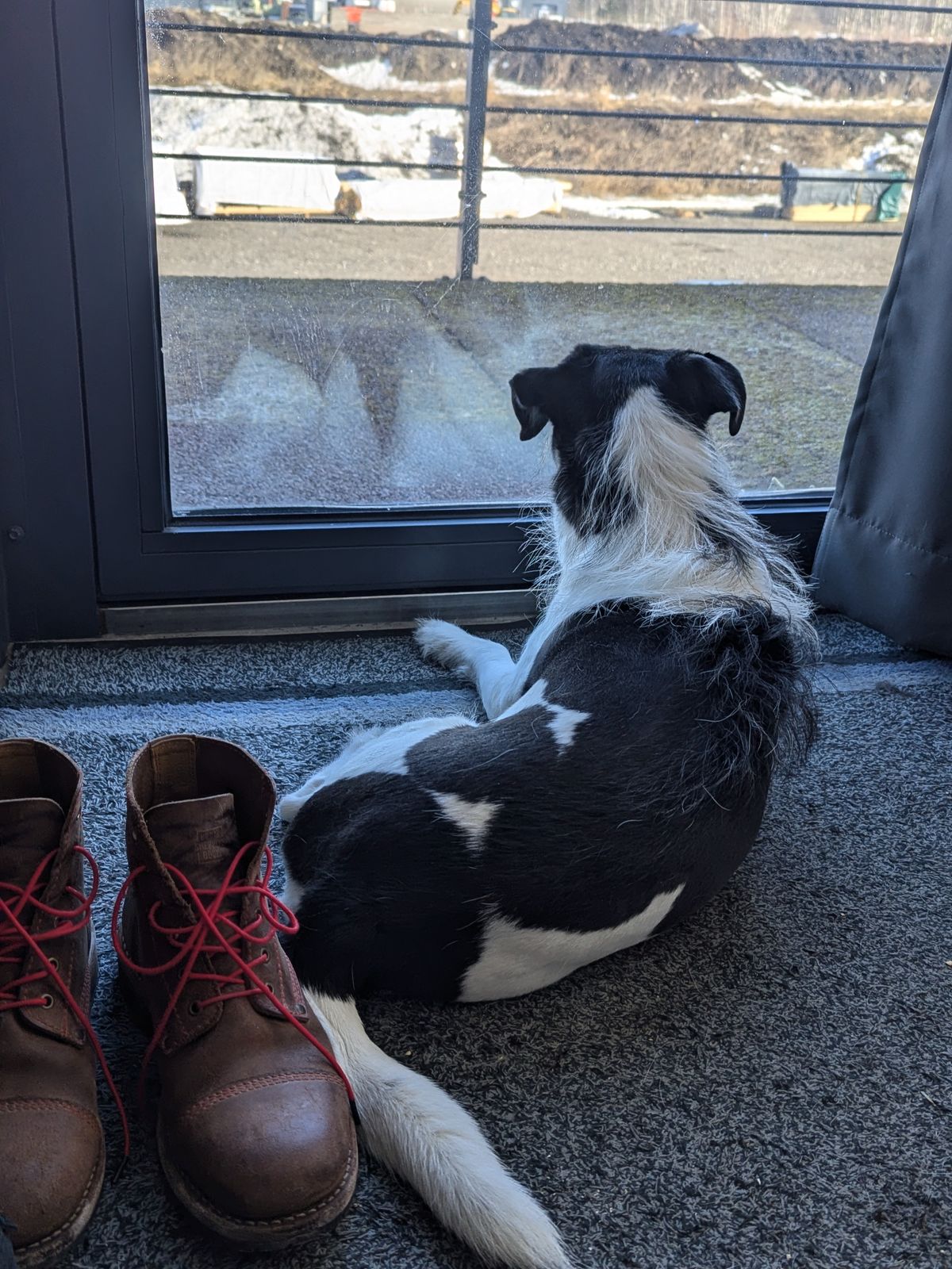 Photo by Rt on March 6, 2026 of the Urban Shepherd Country in Hand-buffed Portuguese top-grain Cowhide Leather, 2,2mm thick.