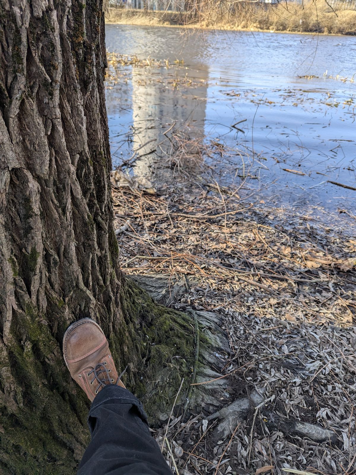 Photo by Rt on March 15, 2026 of the Urban Shepherd Country in Hand-buffed Portuguese top-grain Cowhide Leather, 2,2mm thick.