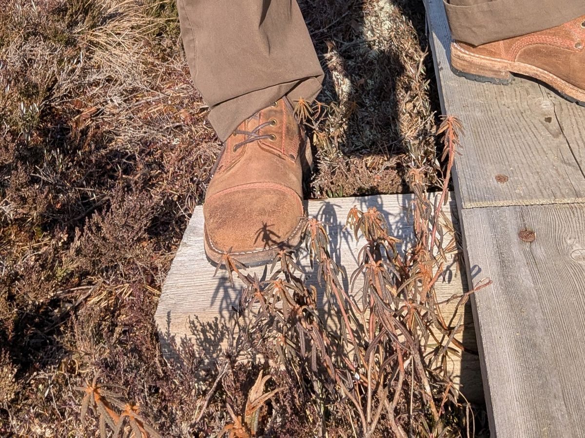 Photo by Rt on March 29, 2026 of the Urban Shepherd Country in Hand-buffed Portuguese top-grain Cowhide Leather, 2,2mm thick.