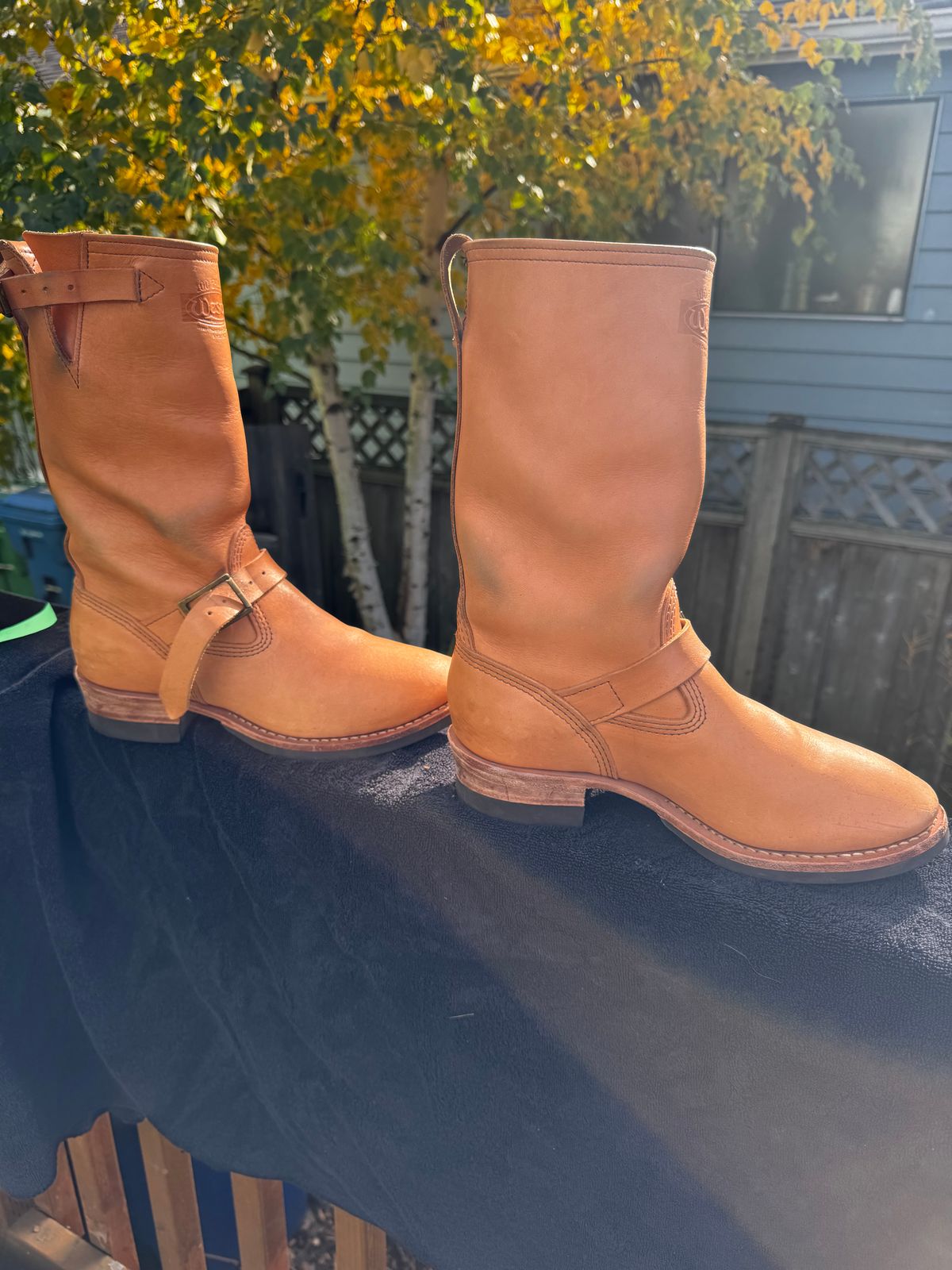 Photo by Doug on November 2, 2025 of the Wesco x S&S Van Cleef III in Horween Natural Essex.