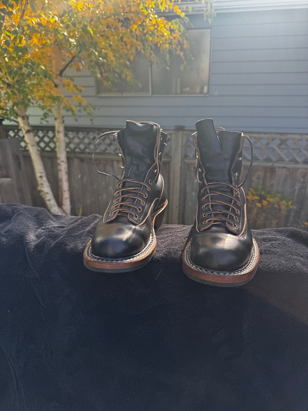 Photo by Doug on November 2, 2025 of the White's 350 Cutter in Horween Black Chromexcel.