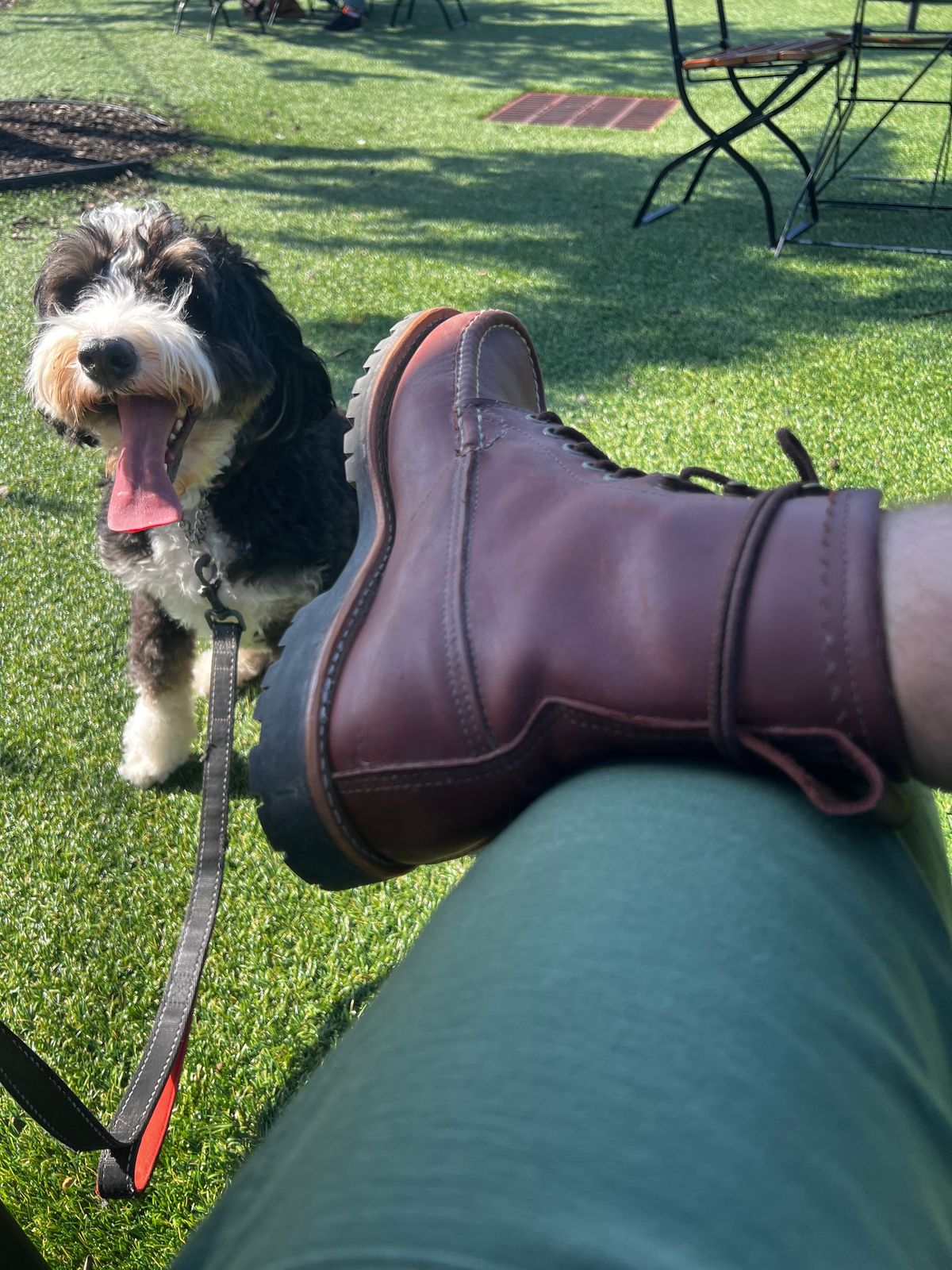 Photo by outlier on September 14, 2025 of the Russell Moccasin Co. Backcountry in Full-Grain Timberjack.
