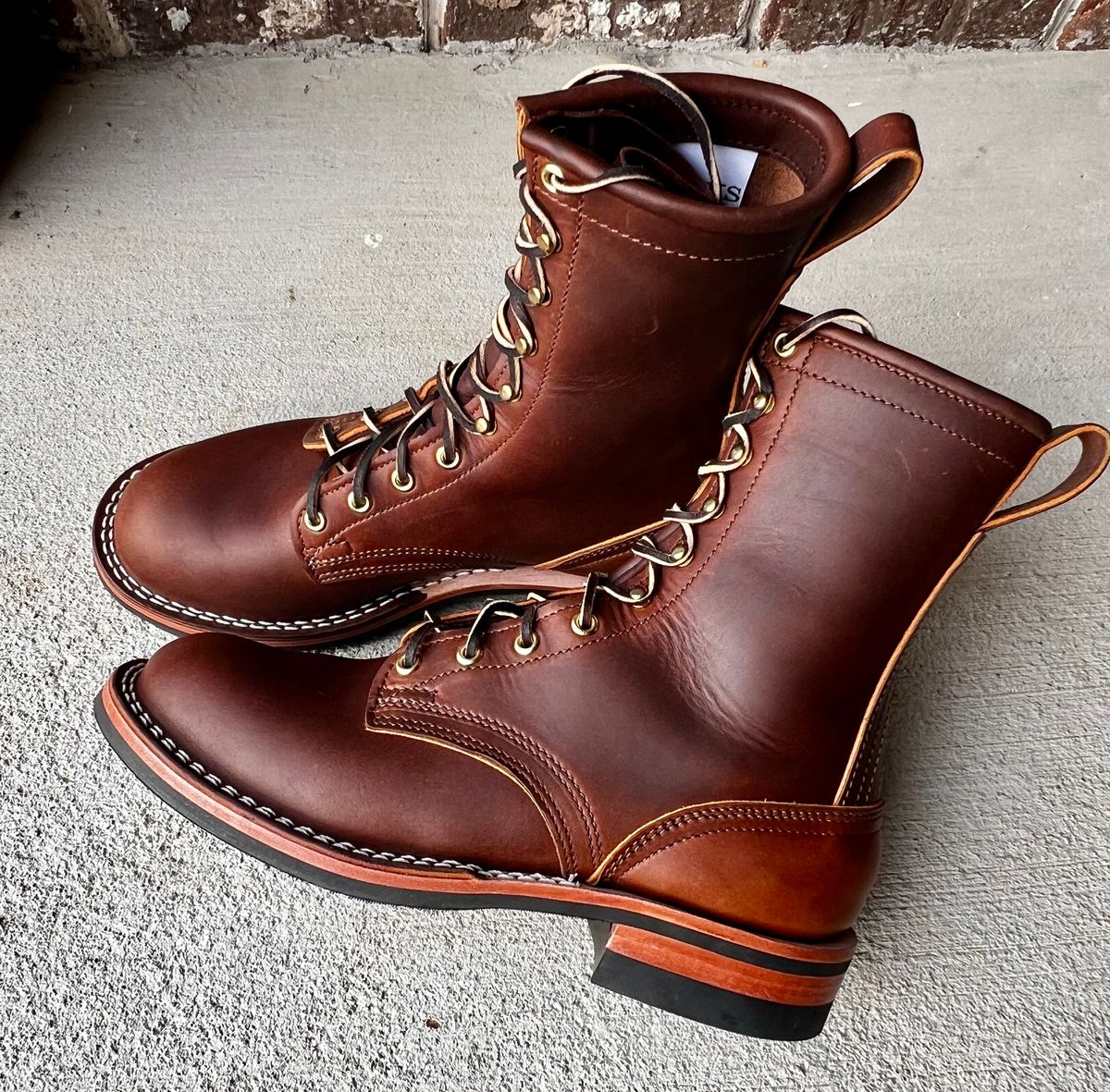 Photo by outlier on October 17, 2025 of the Nicks Falcon in Spokane Brown.