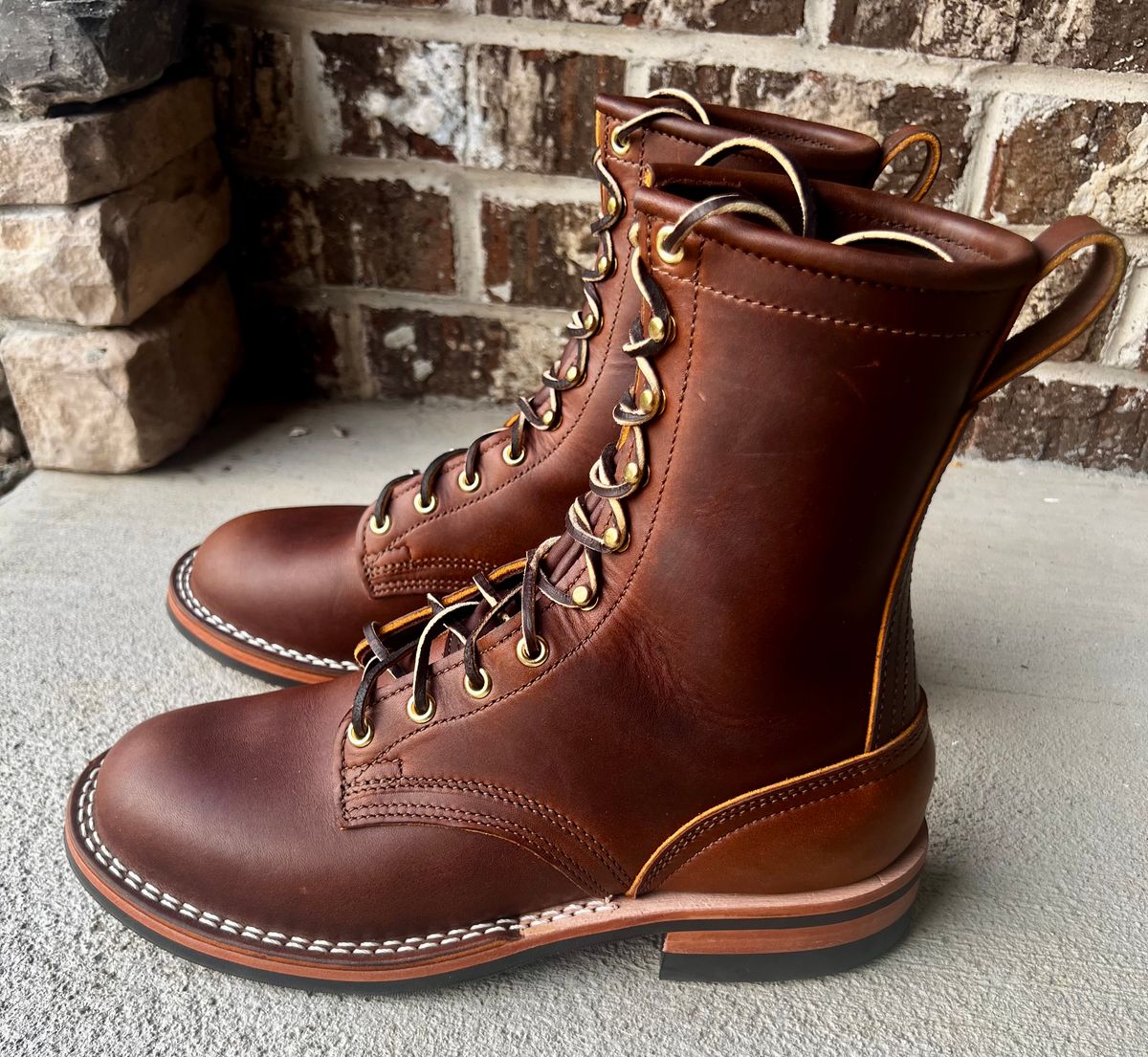 Photo by outlier on October 17, 2025 of the Nicks Falcon in Spokane Brown.