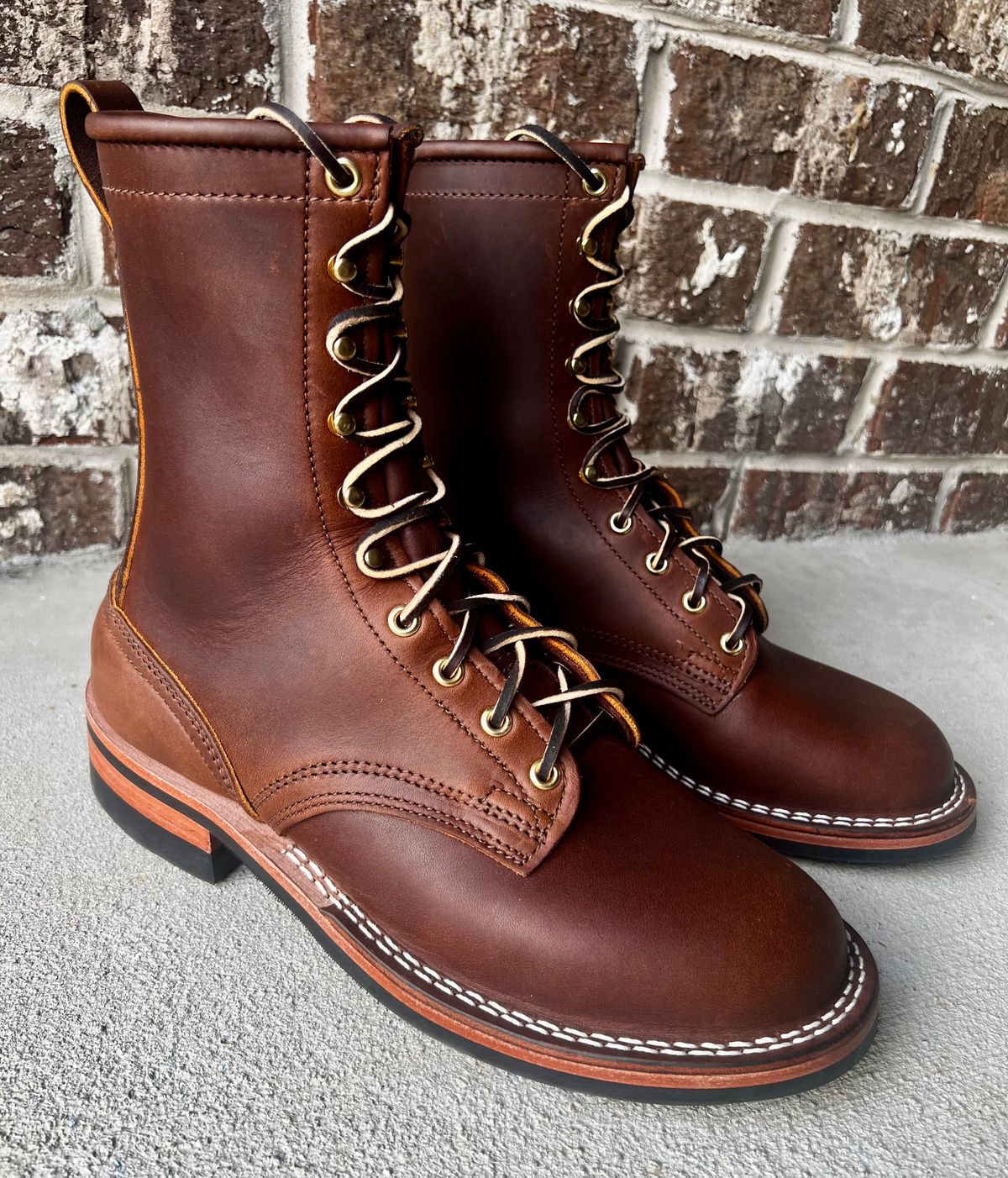 Photo by outlier on October 17, 2025 of the Nicks Falcon in Spokane Brown.
