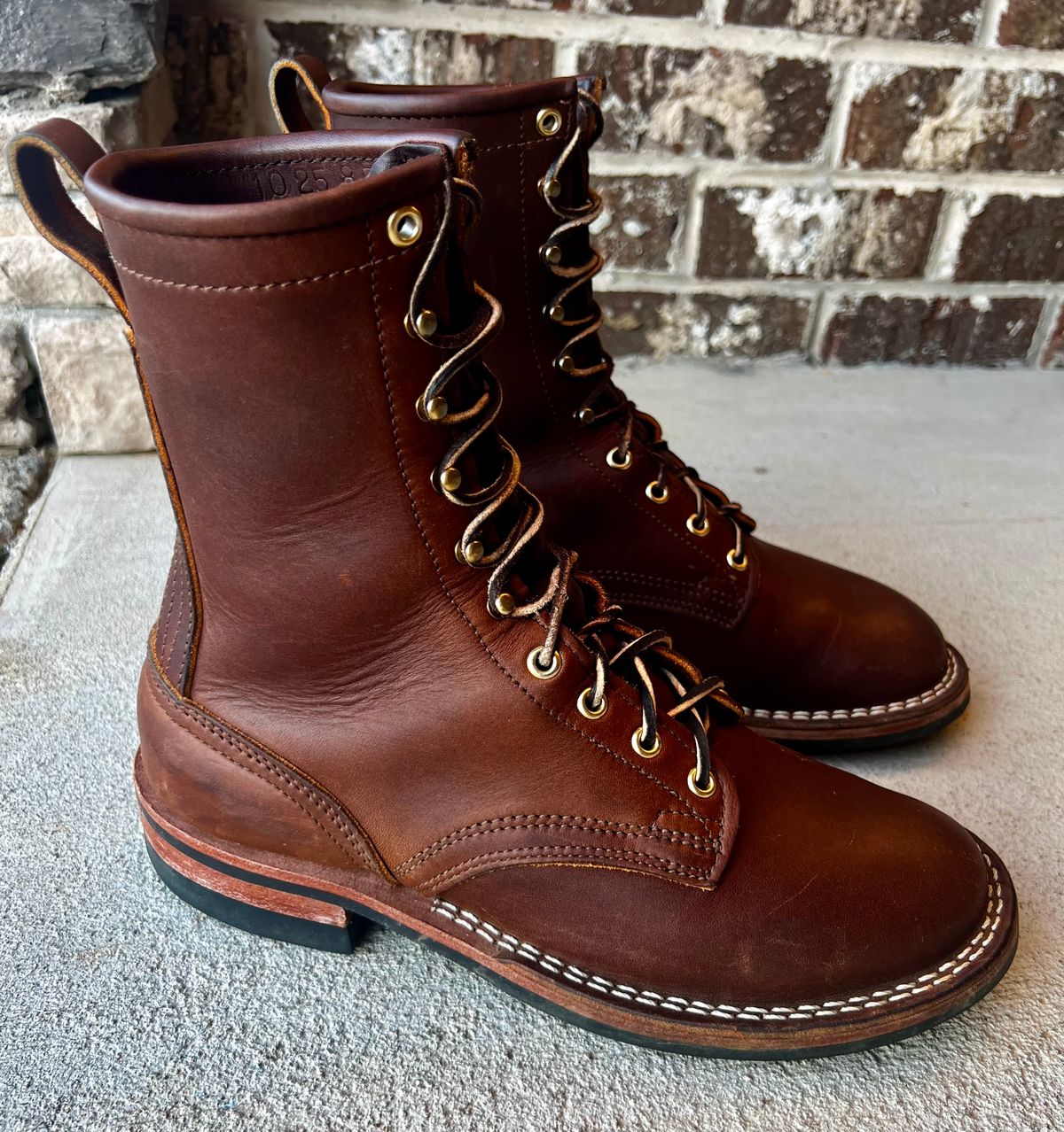 Photo by outlier on December 14, 2025 of the Nicks Falcon in Spokane Brown.