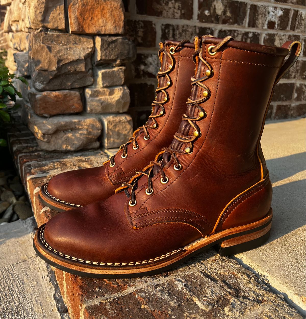 Photo by outlier on March 26, 2026 of the Nicks Falcon in Spokane Brown.