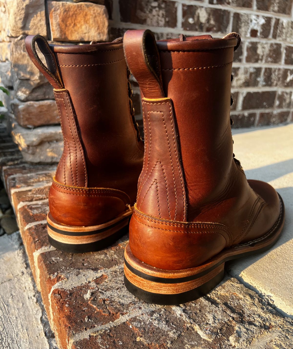 Photo by outlier on March 26, 2026 of the Nicks Falcon in Spokane Brown.