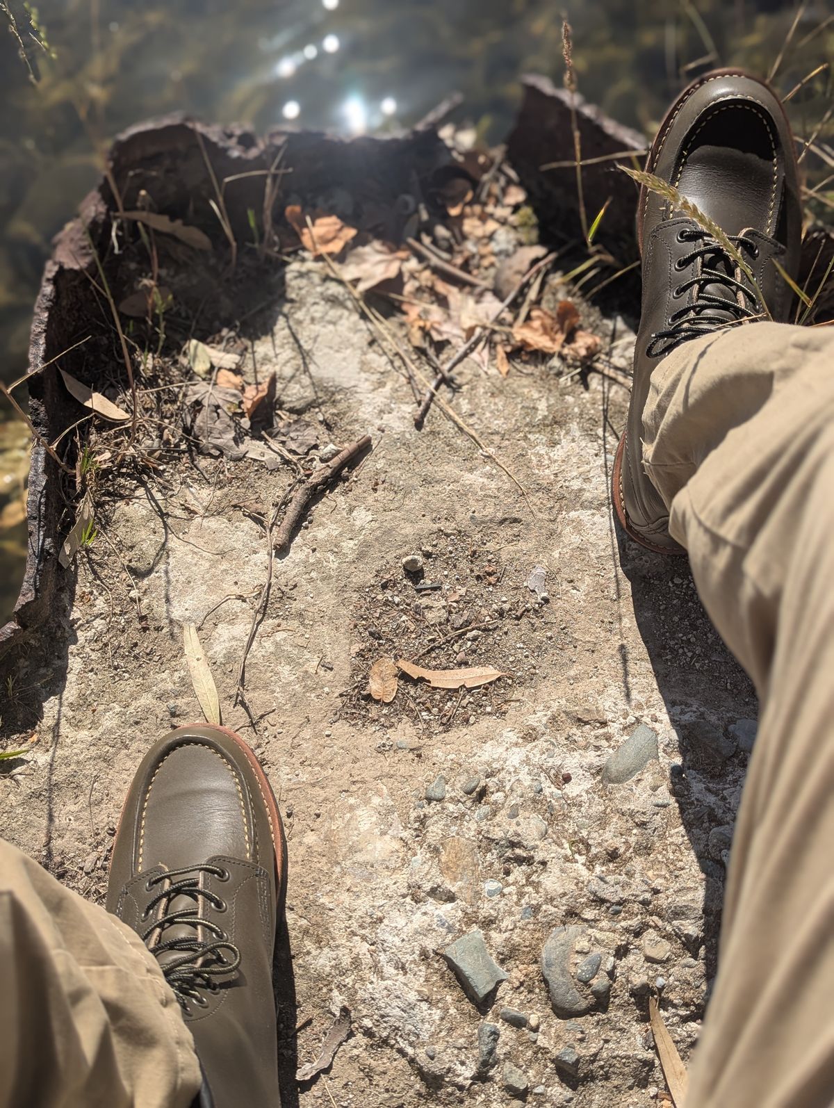 Photo by gutlesswaste on May 13, 2026 of the Red Wing 6-Inch Classic Moc in S.B. Foot Alpine Portage.