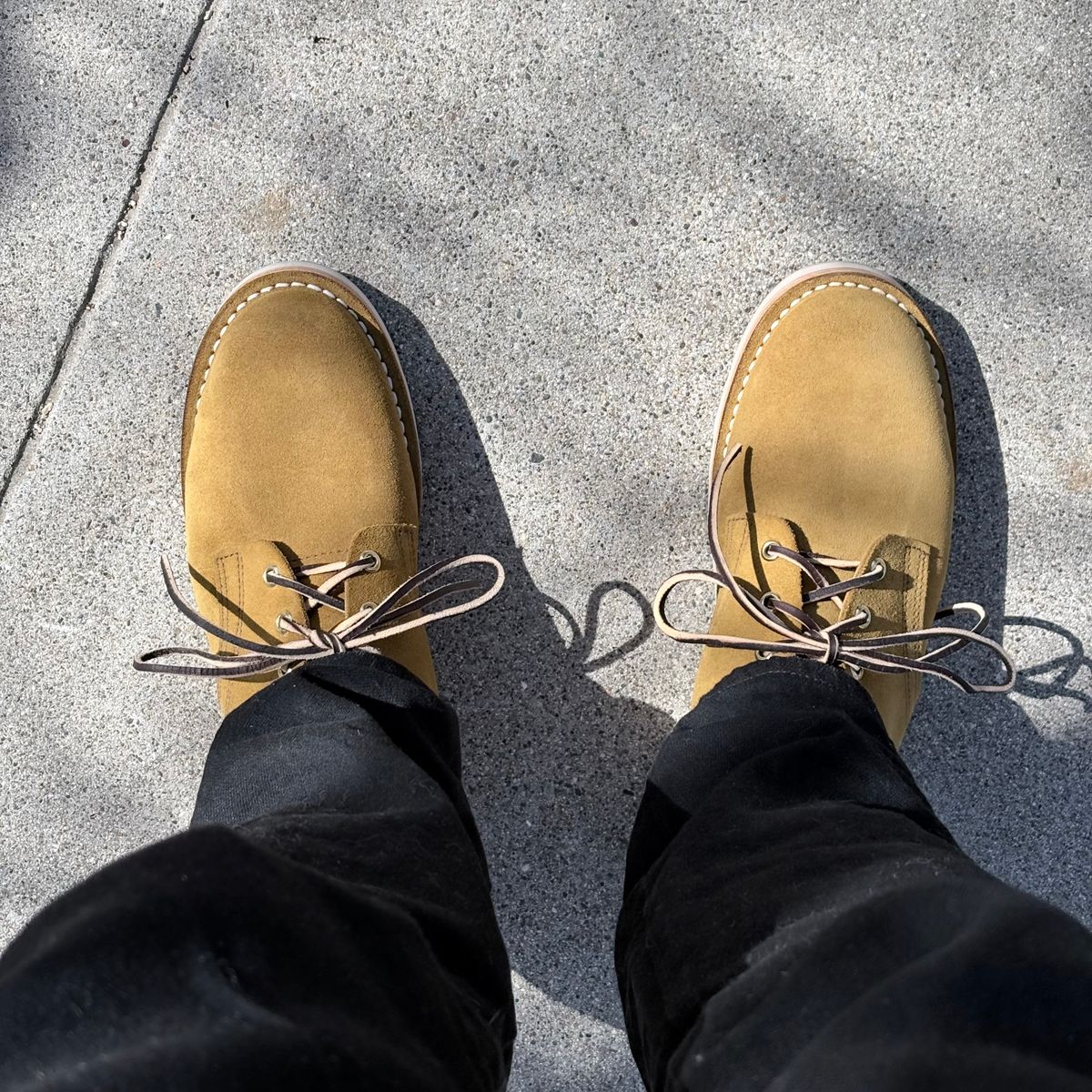 Photo by pedrov on September 27, 2025 of the Nicks Chukka in Coyote Brown Roughout.