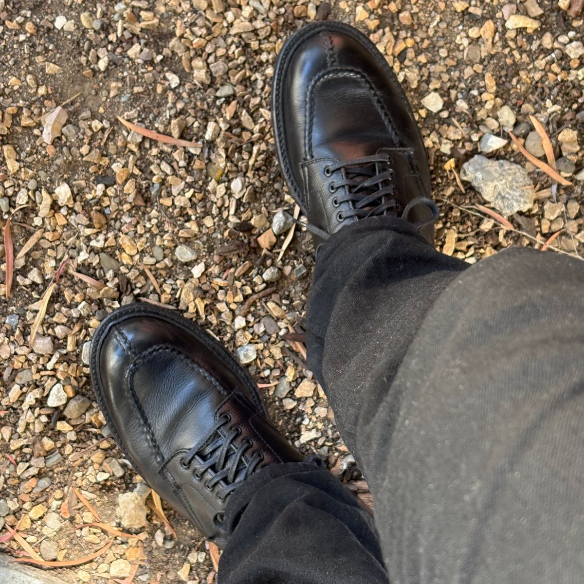 Photo by pedrov on October 5, 2025 of the Alden Tanker Boot in Black Calfskin.