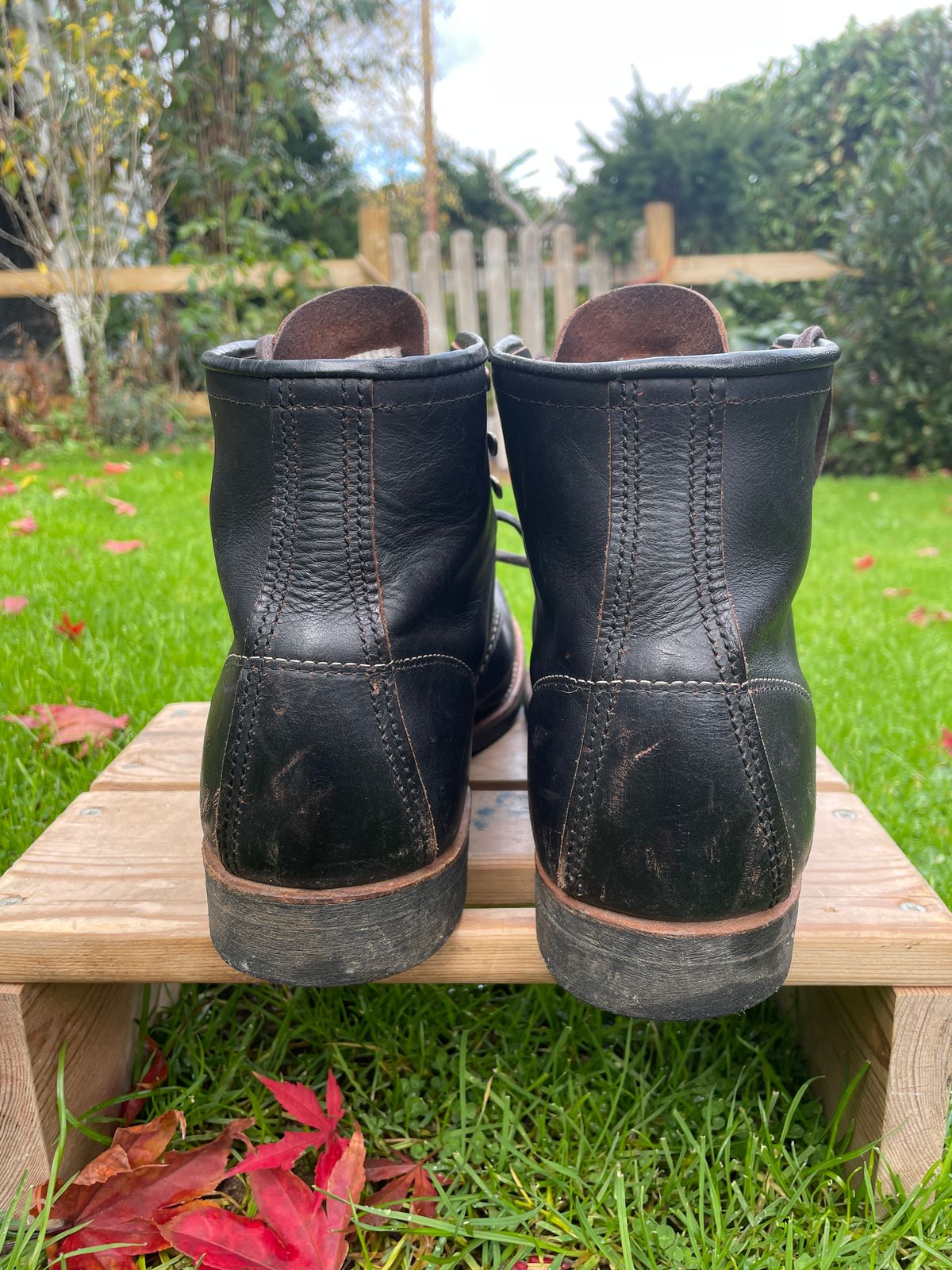 Photo by jaygti on November 2, 2025 of the Red Wing Blacksmith in S.B. Foot Black Prairie.