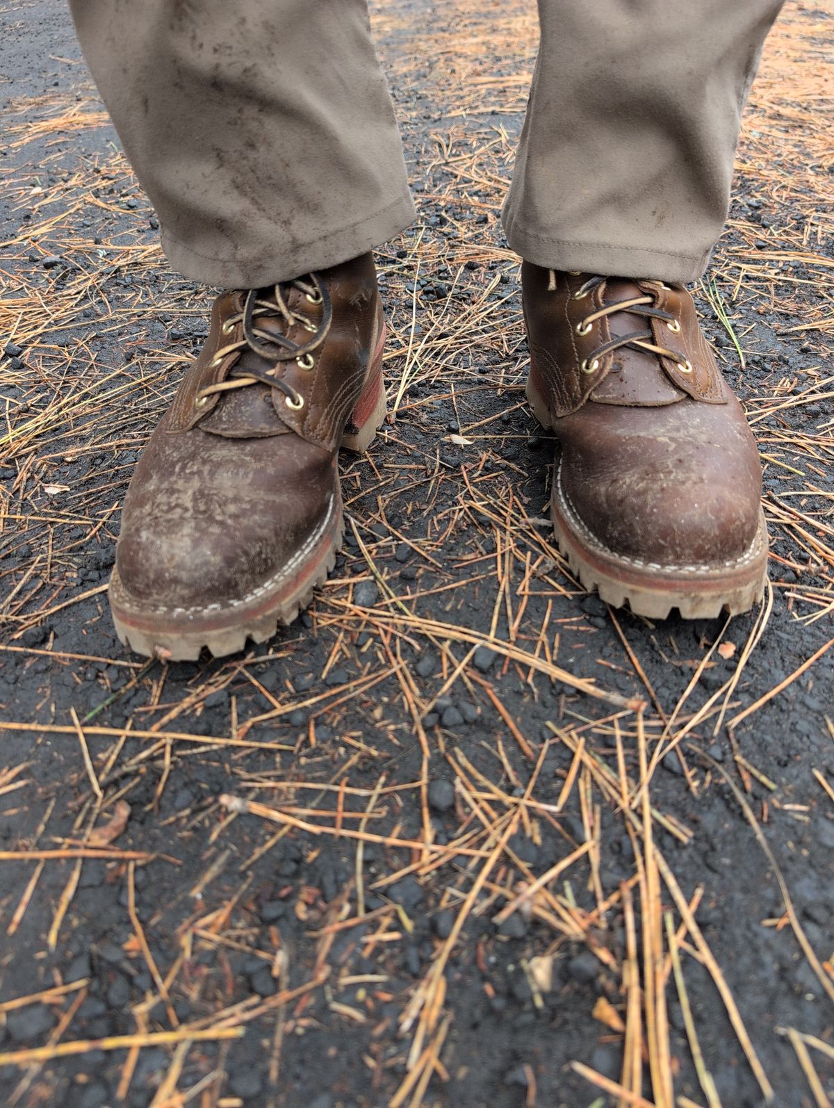 Photo by film_raine on October 11, 2025 of the Nicks Urban Logger in Shackleton Cognac.