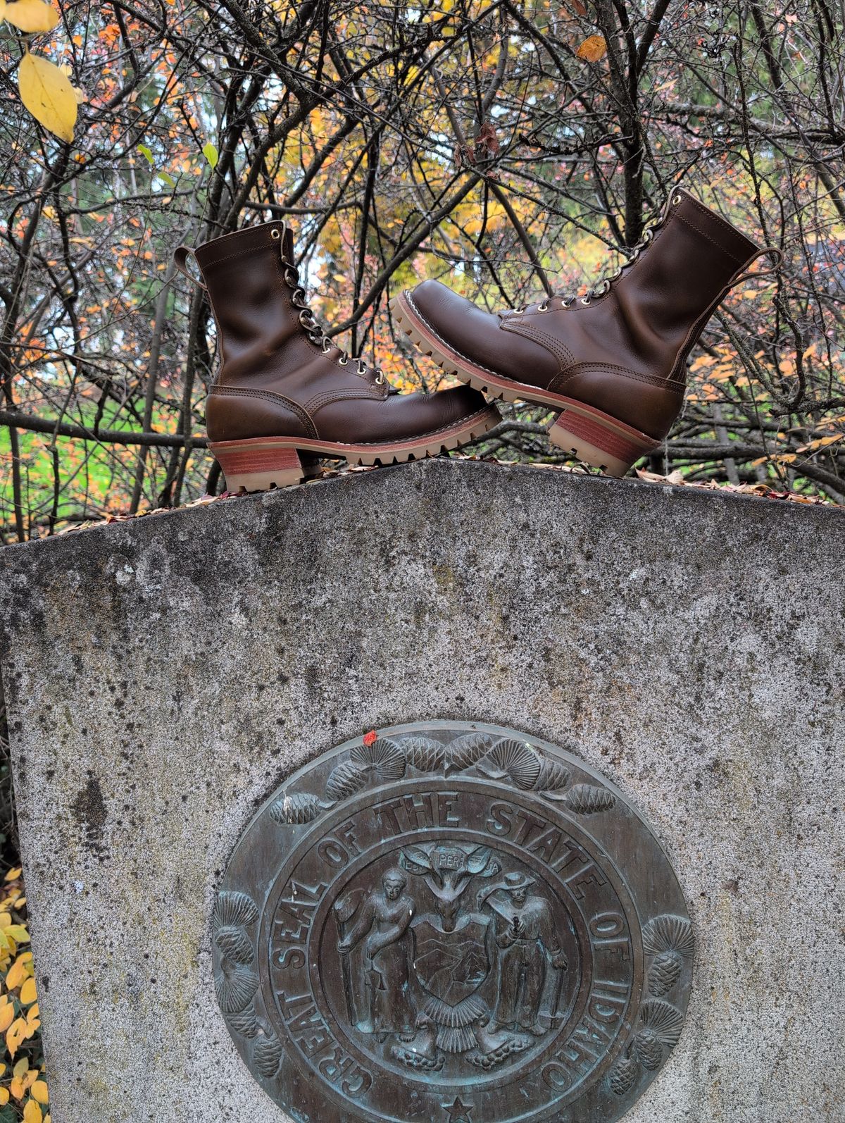 Photo by film_raine on November 1, 2025 of the Nicks Urban Logger in Shackleton Cognac.