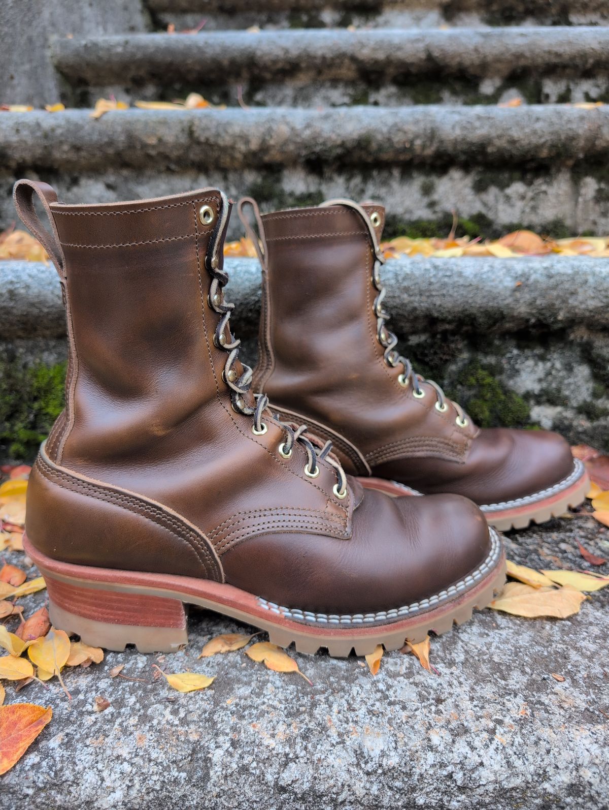 Photo by film_raine on November 1, 2025 of the Nicks Urban Logger in Shackleton Cognac.