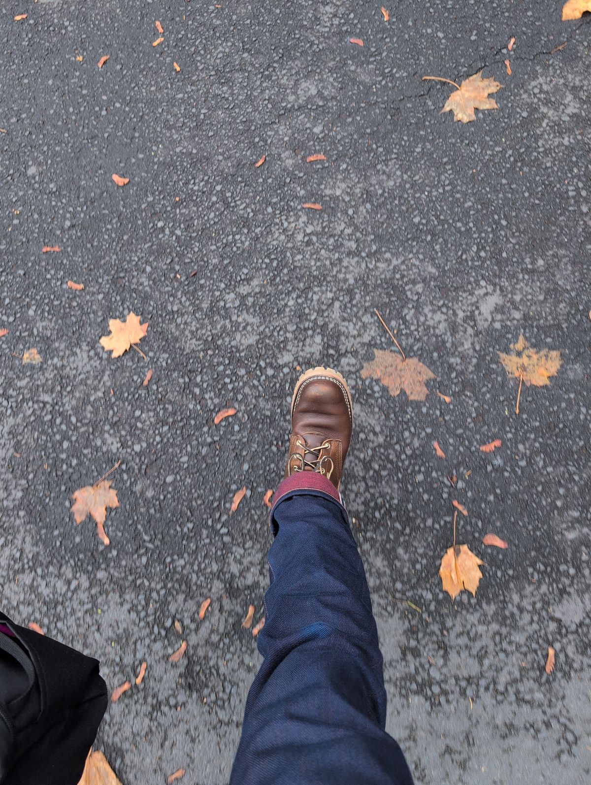 Photo by film_raine on November 19, 2025 of the Nicks Urban Logger in Shackleton Cognac.