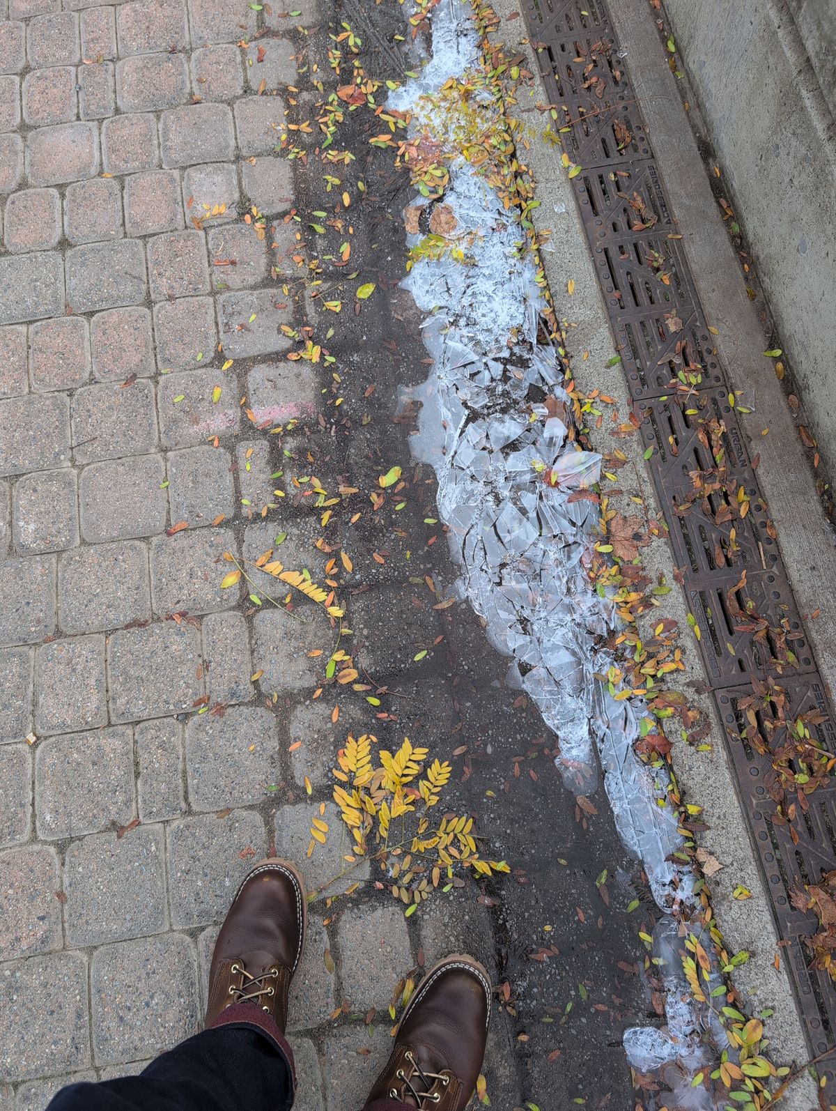 Photo by film_raine on November 26, 2025 of the Nicks Urban Logger in Shackleton Cognac.