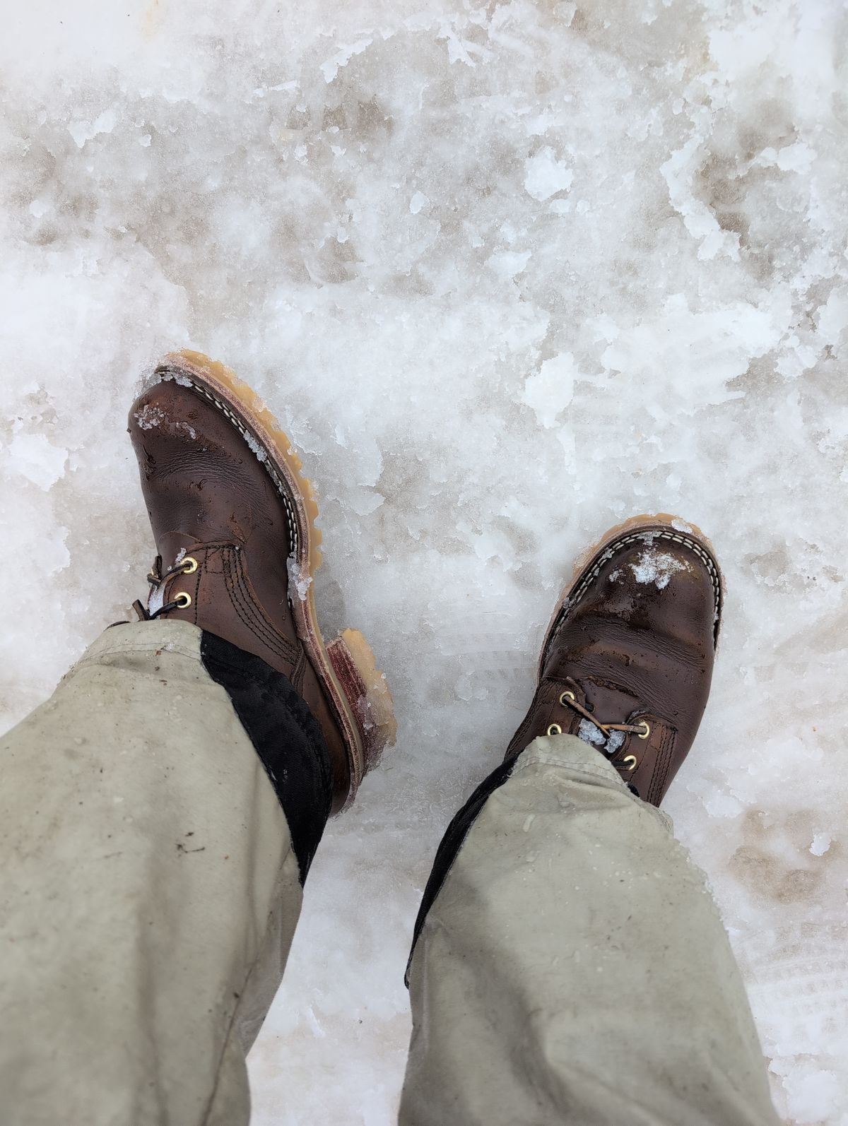 Photo by film_raine on December 7, 2025 of the Nicks Urban Logger in Shackleton Cognac.