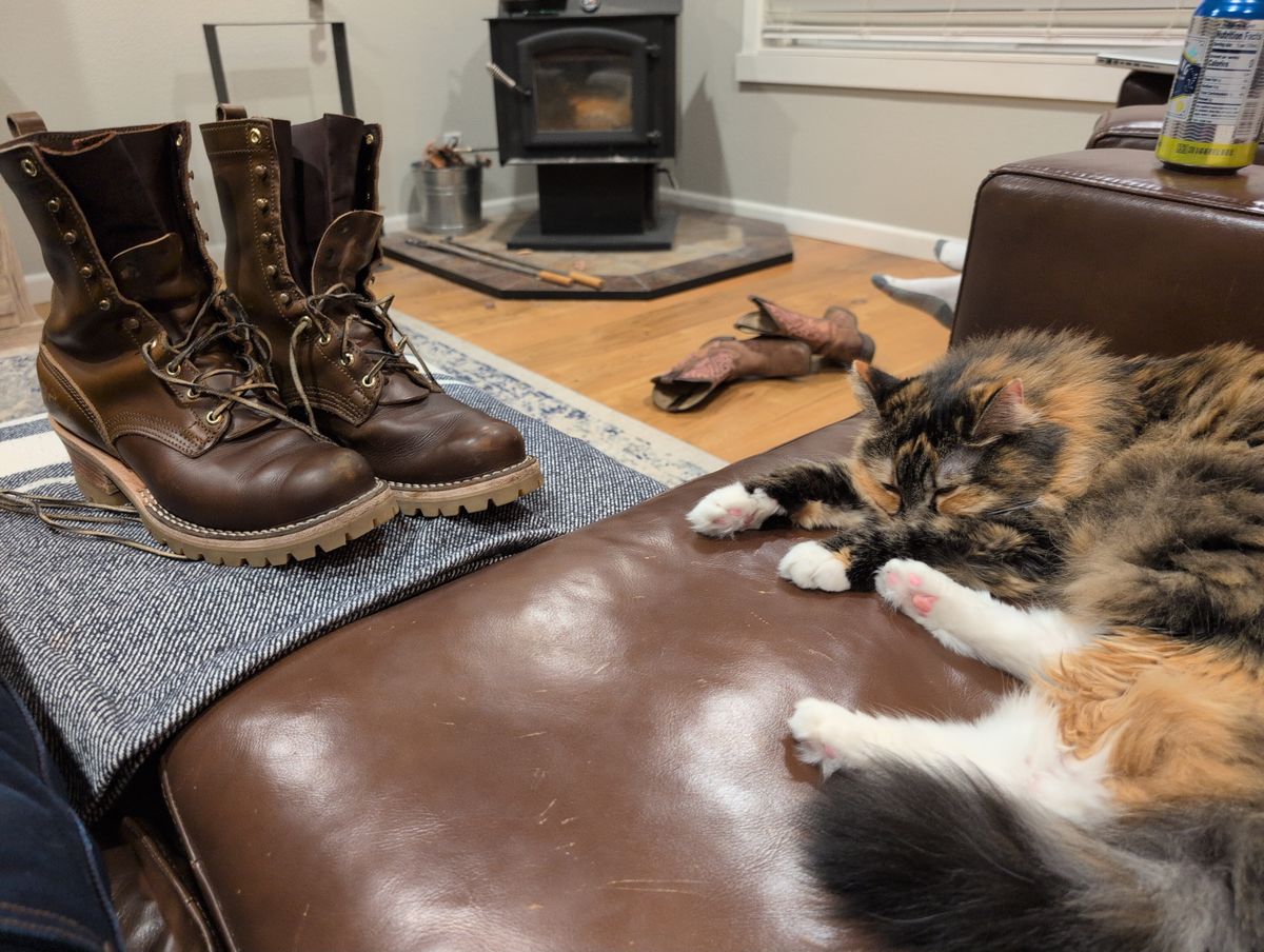 Photo by film_raine on December 18, 2025 of the Nicks Urban Logger in Shackleton Cognac.