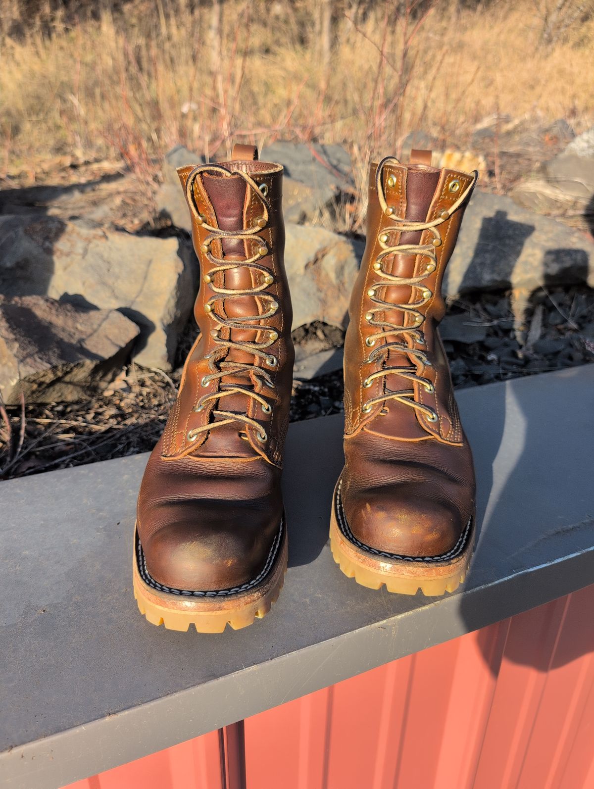 Photo by film_raine on February 1, 2026 of the Nicks Urban Logger in Shackleton Cognac.