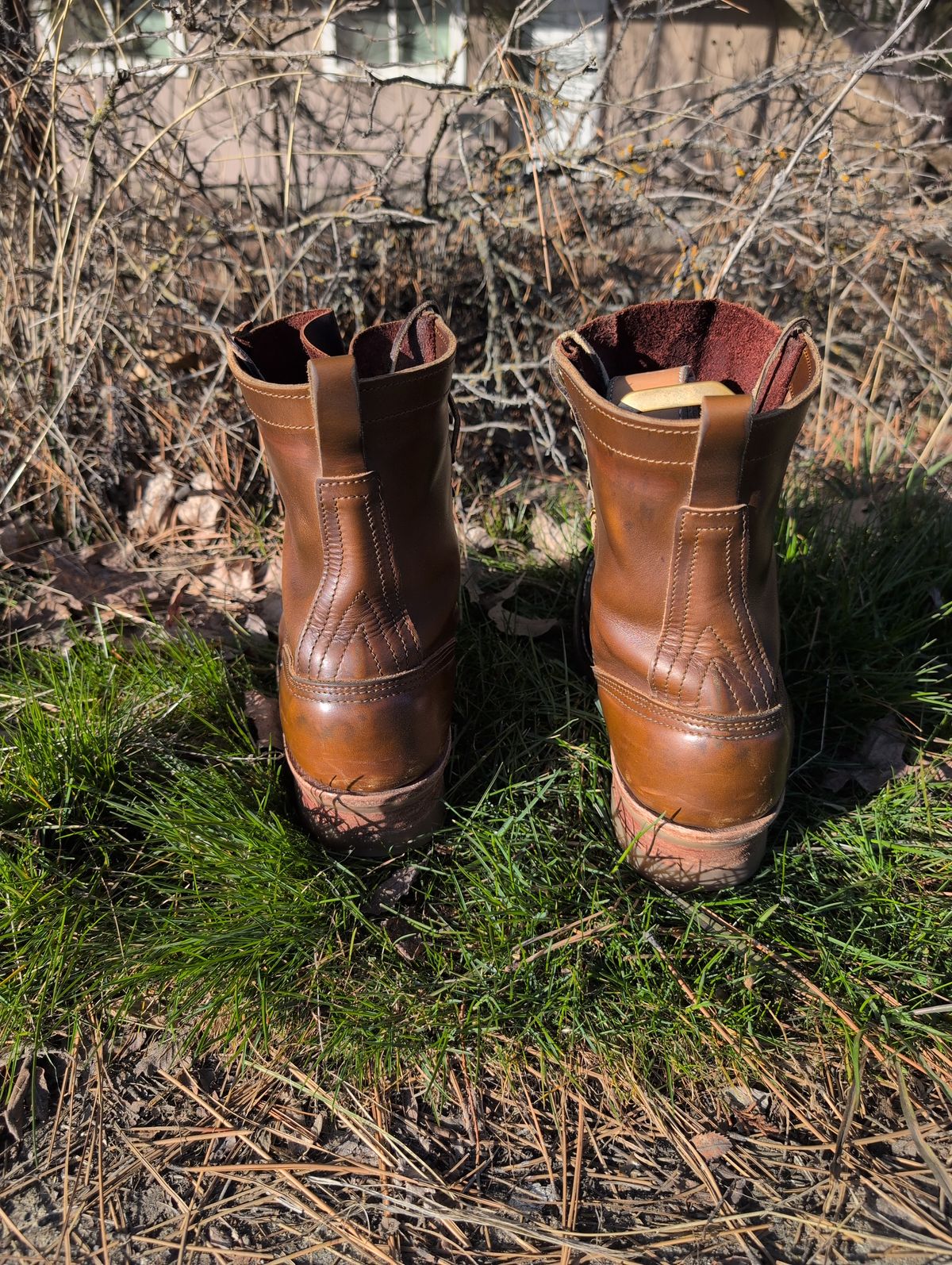 Photo by film_raine on March 2, 2026 of the Nicks Urban Logger in Shackleton Cognac.