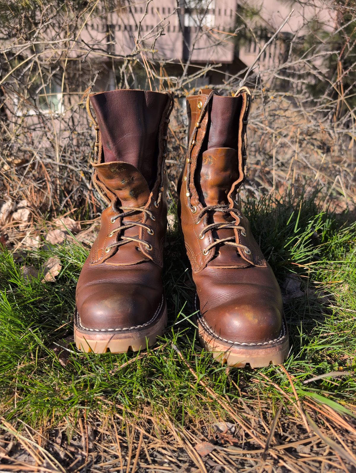 Photo by film_raine on March 2, 2026 of the Nicks Urban Logger in Shackleton Cognac.