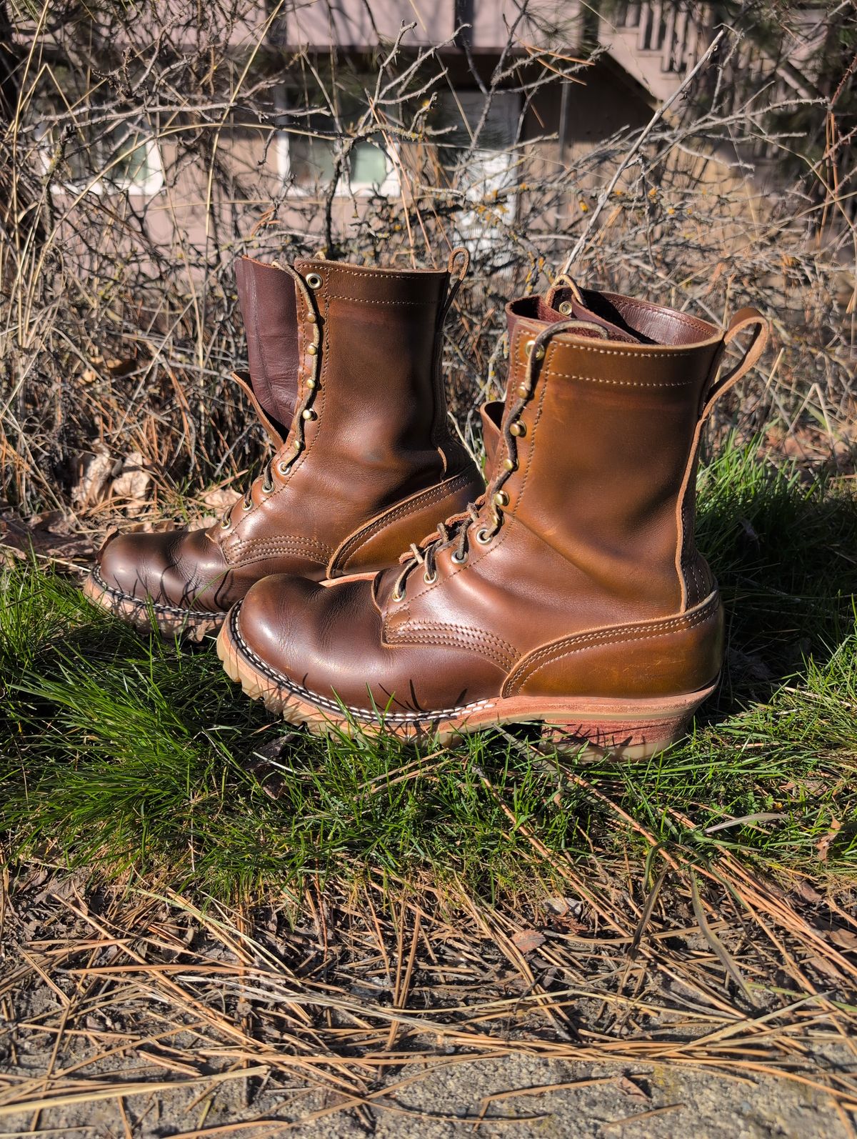 Photo by film_raine on March 2, 2026 of the Nicks Urban Logger in Shackleton Cognac.