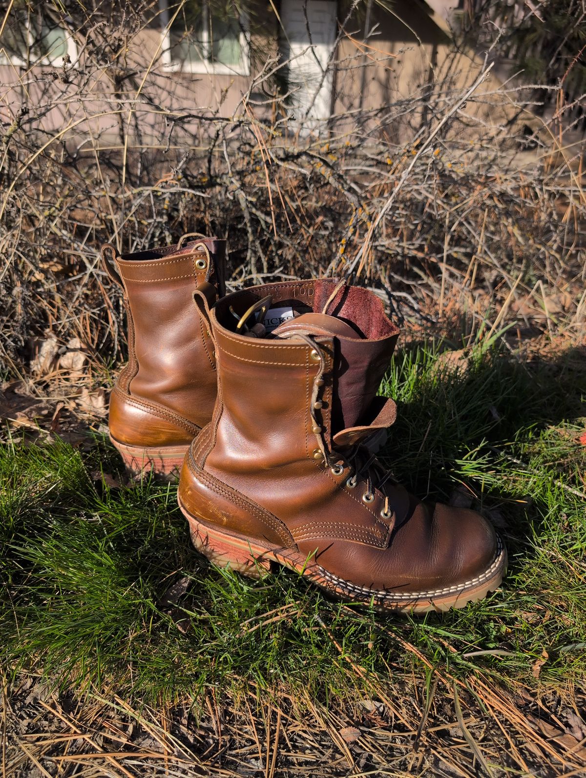 Photo by film_raine on March 2, 2026 of the Nicks Urban Logger in Shackleton Cognac.