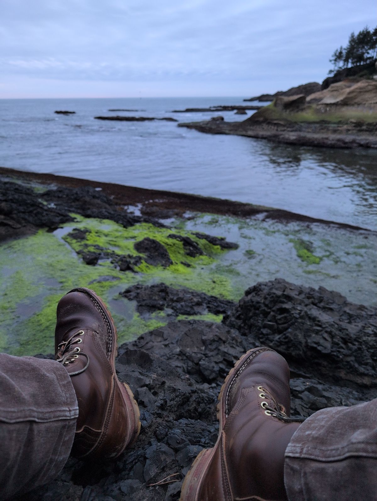 Photo by film_raine on March 19, 2026 of the Nicks Urban Logger in Shackleton Cognac.