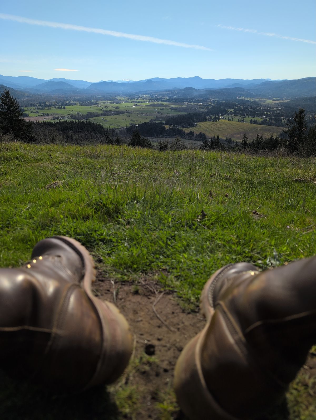 Photo by film_raine on March 19, 2026 of the Nicks Urban Logger in Shackleton Cognac.