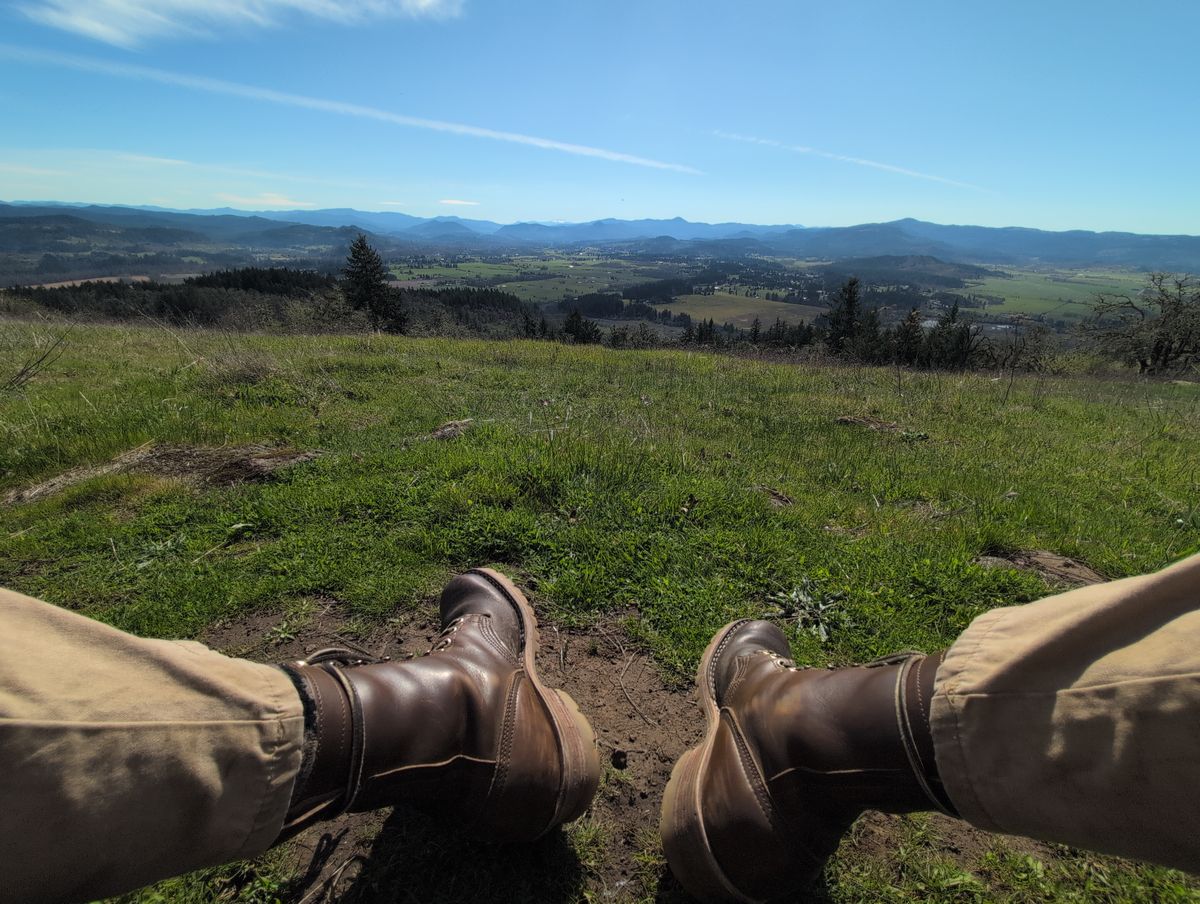 Photo by film_raine on April 5, 2026 of the Nicks Urban Logger in Shackleton Cognac.