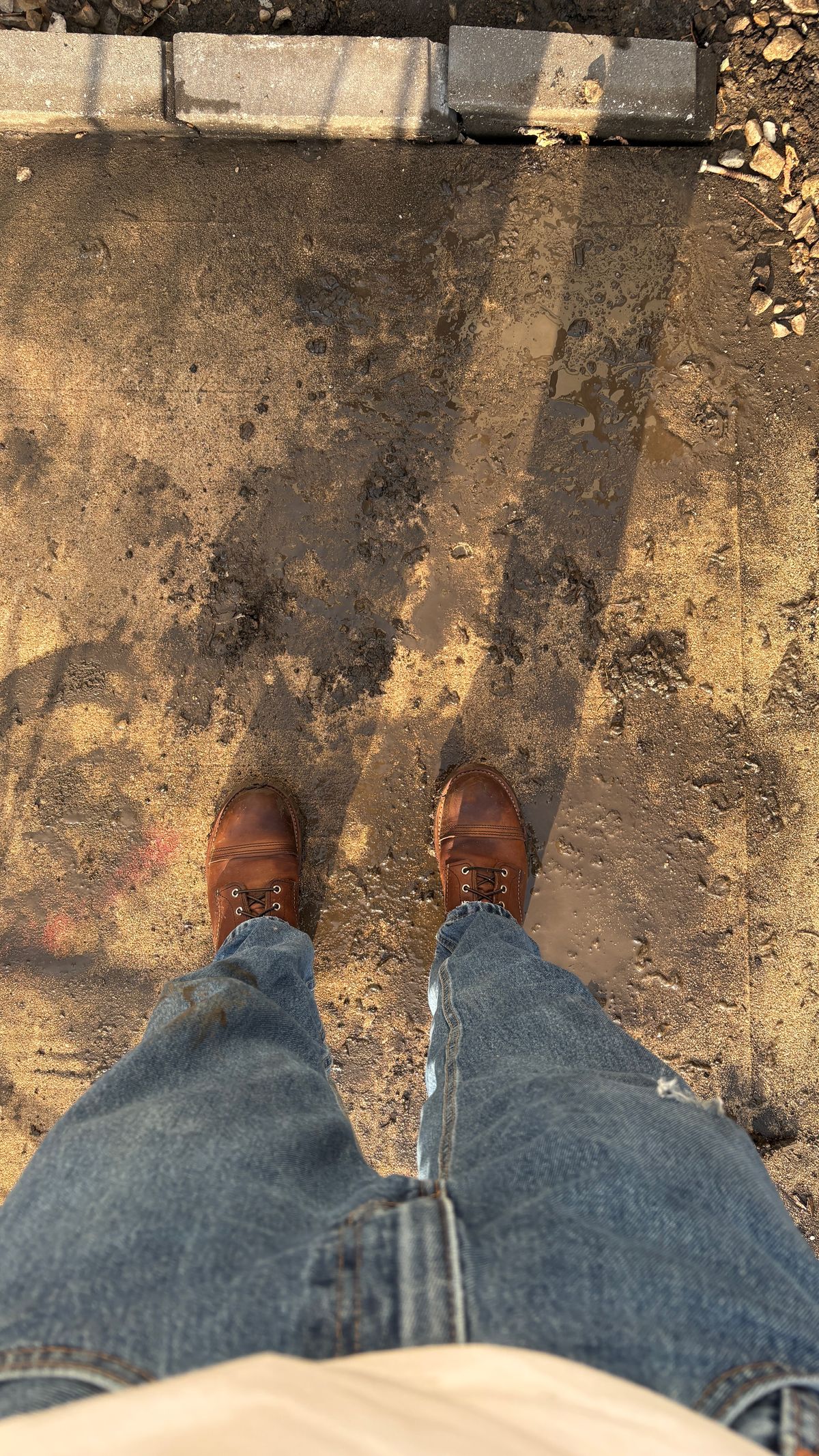 Photo by BUMMYNATE on July 3, 2026 of the Red Wing Iron Ranger in S.B. Foot Amber Harness.