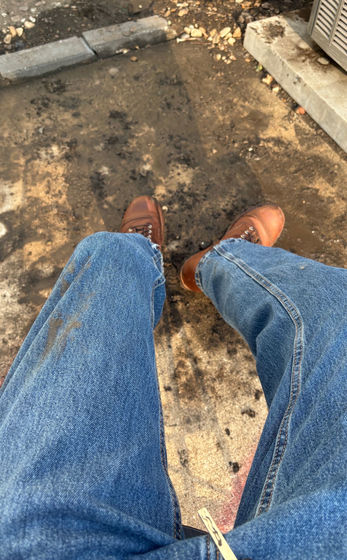 Photo by BUMMYNATE on July 4, 2026 of the Red Wing Iron Ranger in S.B. Foot Amber Harness.