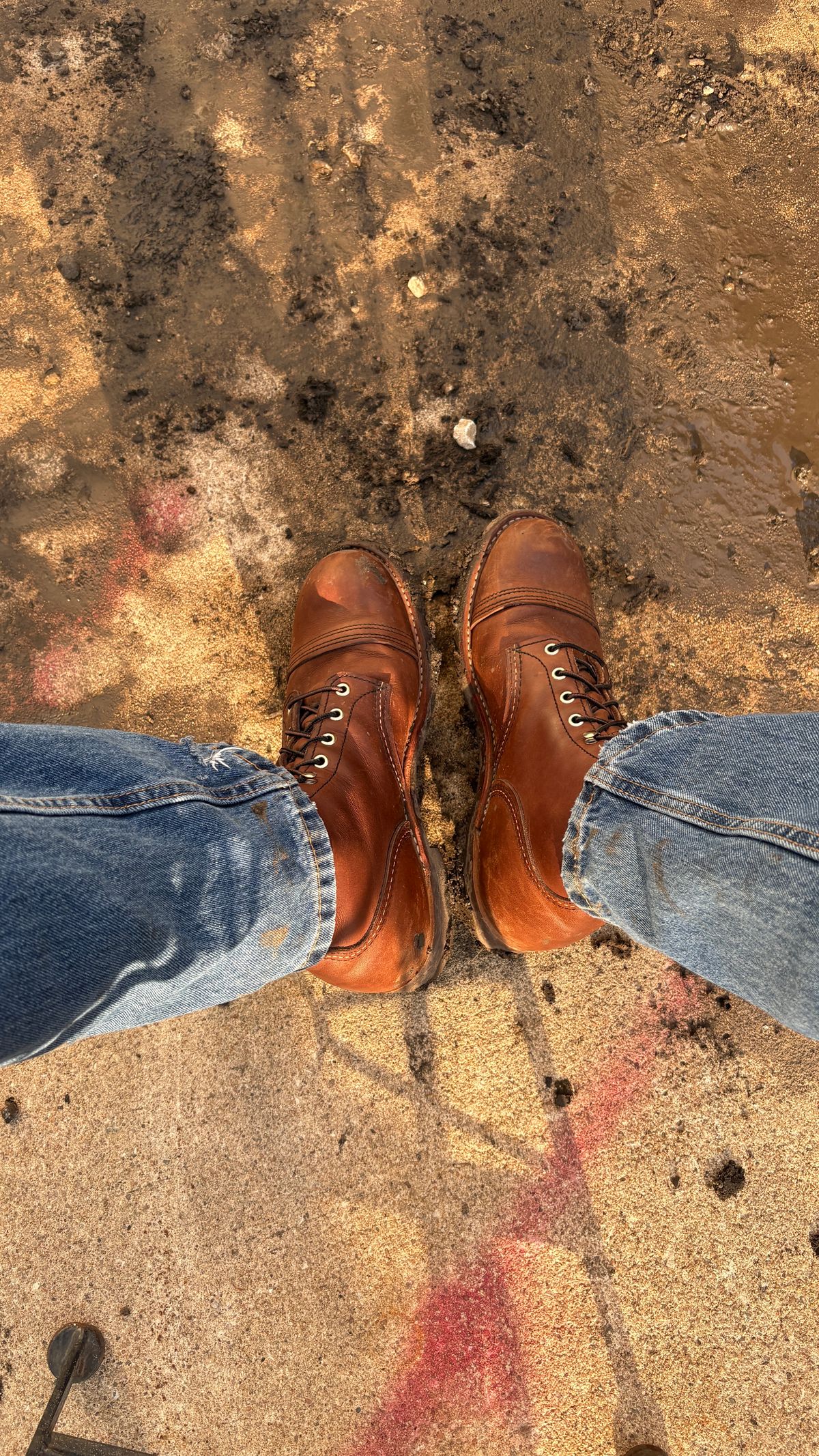 Photo by BUMMYNATE on July 4, 2026 of the Red Wing Iron Ranger in S.B. Foot Amber Harness.